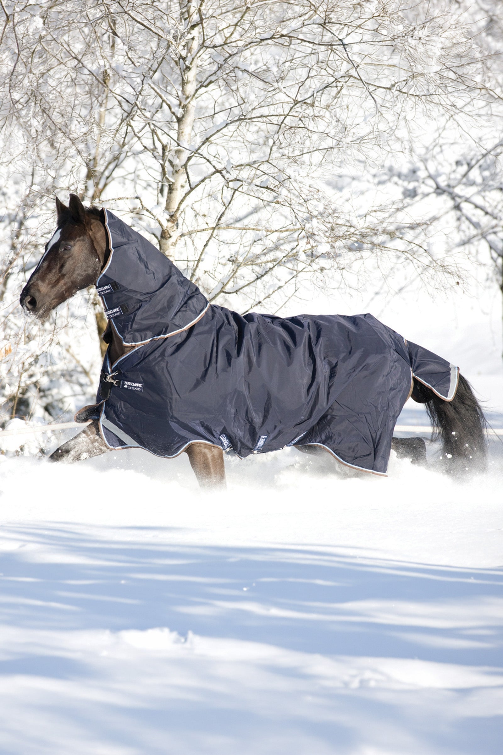 Horseware Rambo Duo Turnout incl. Detachable Hood, 100g Horse Rugs