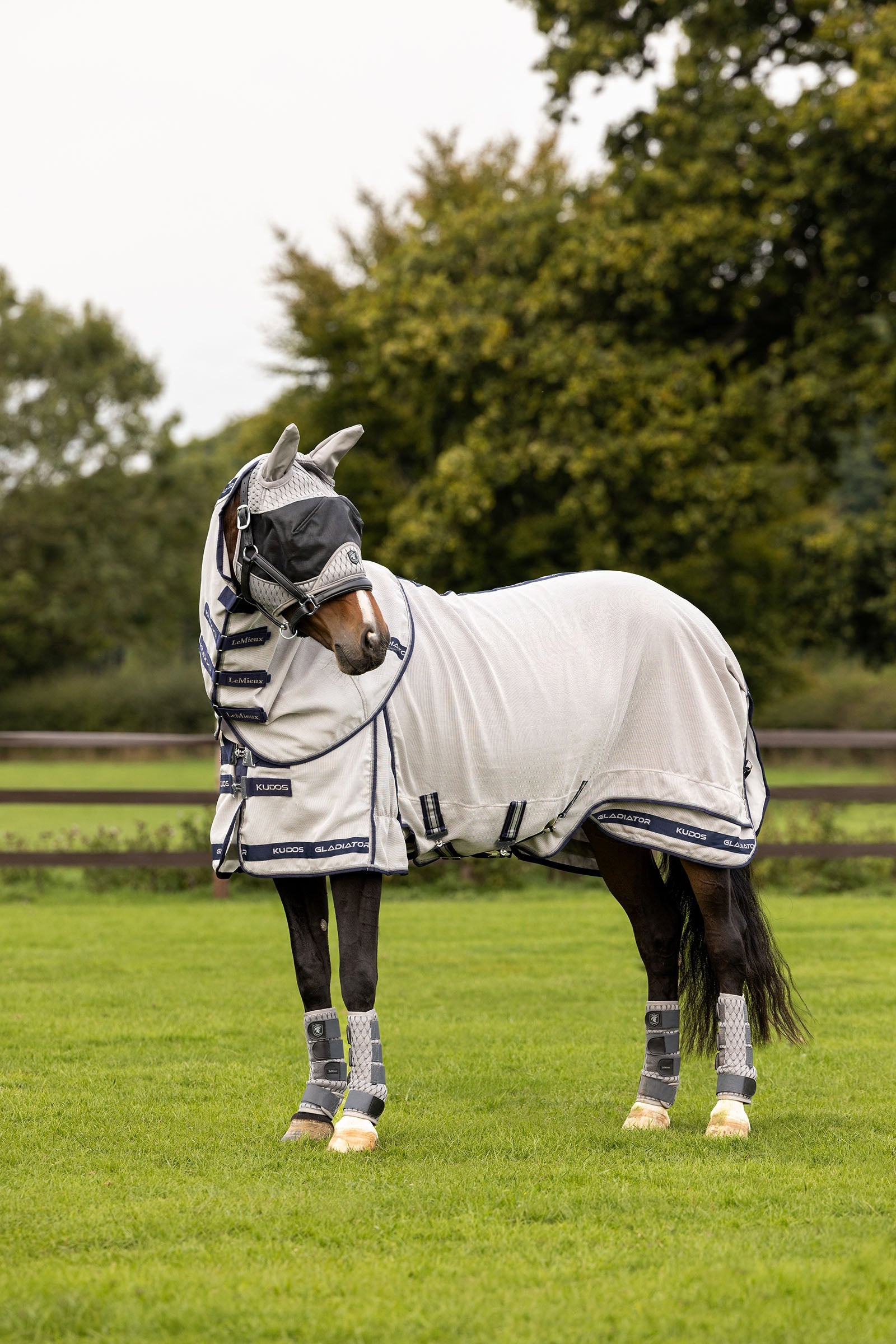 LeMieux Kudos Gladiator fluedekken Dekken