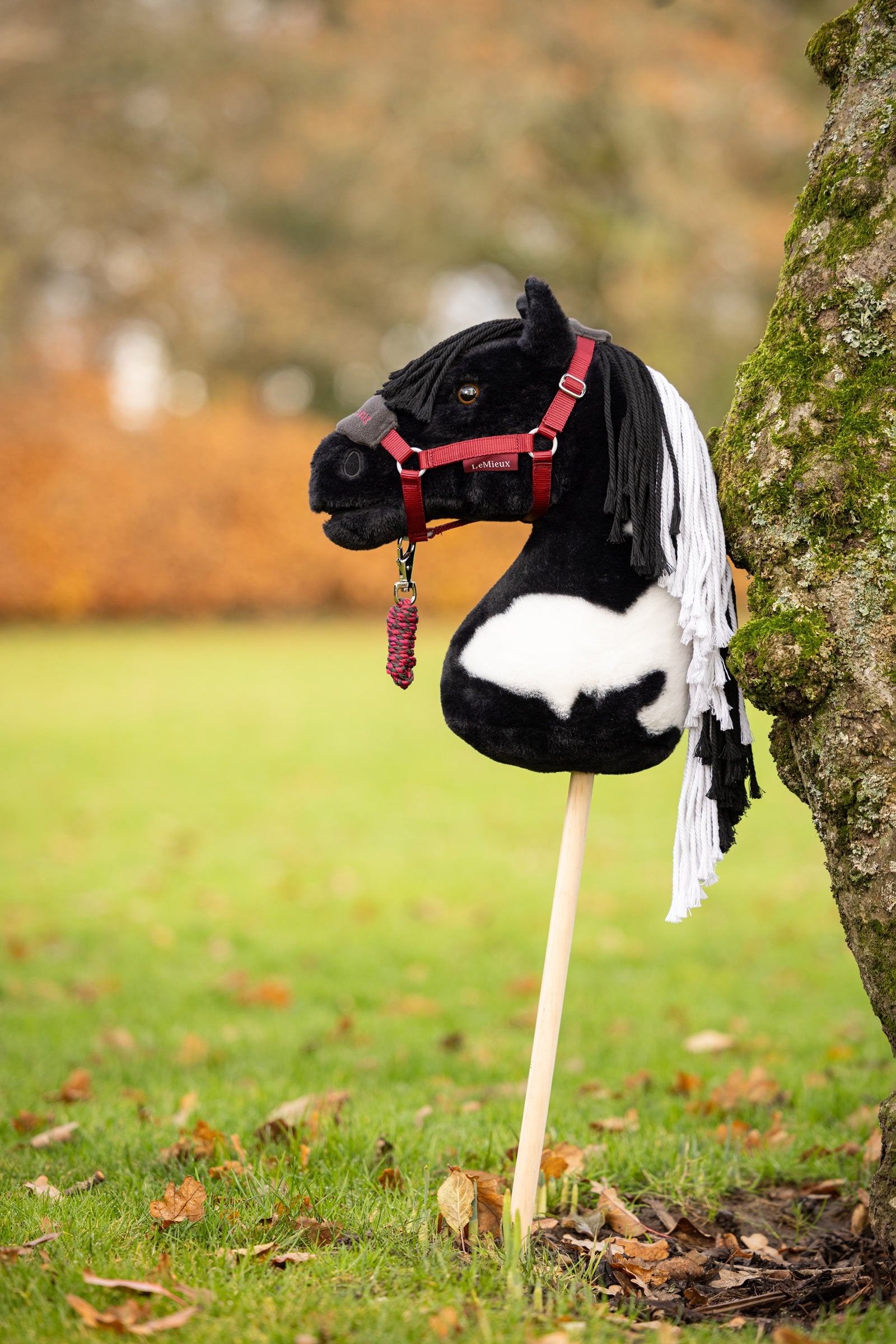 LeMieux Hobby Horse Gifts & Toys