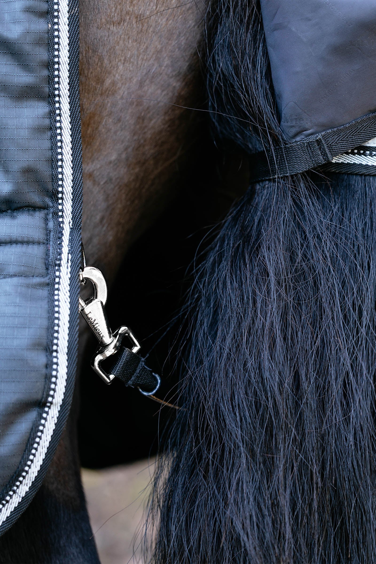 LeMieux Arika Reflective Turnout Rug With Detachable Neck, 100 g Horse Rugs