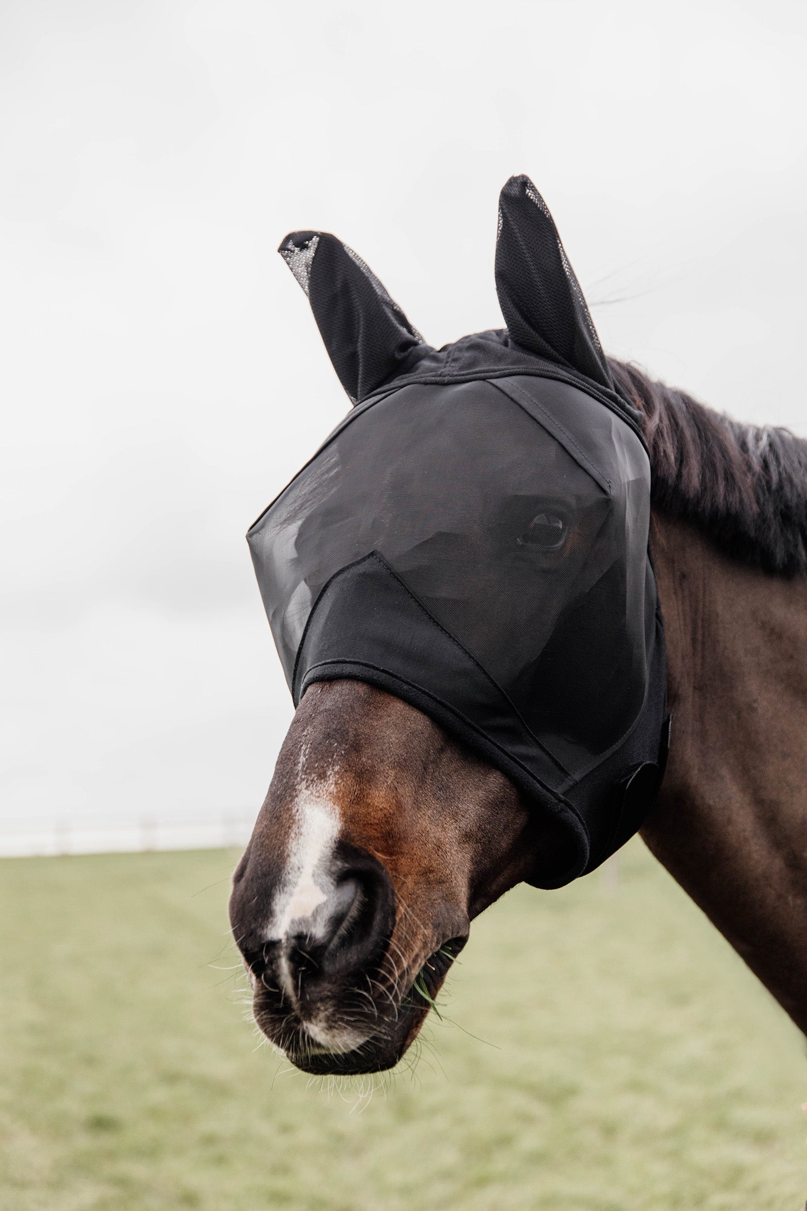 Kentucky Horsewear Classic fluemaske med ører Fluebeskyttelse til hest