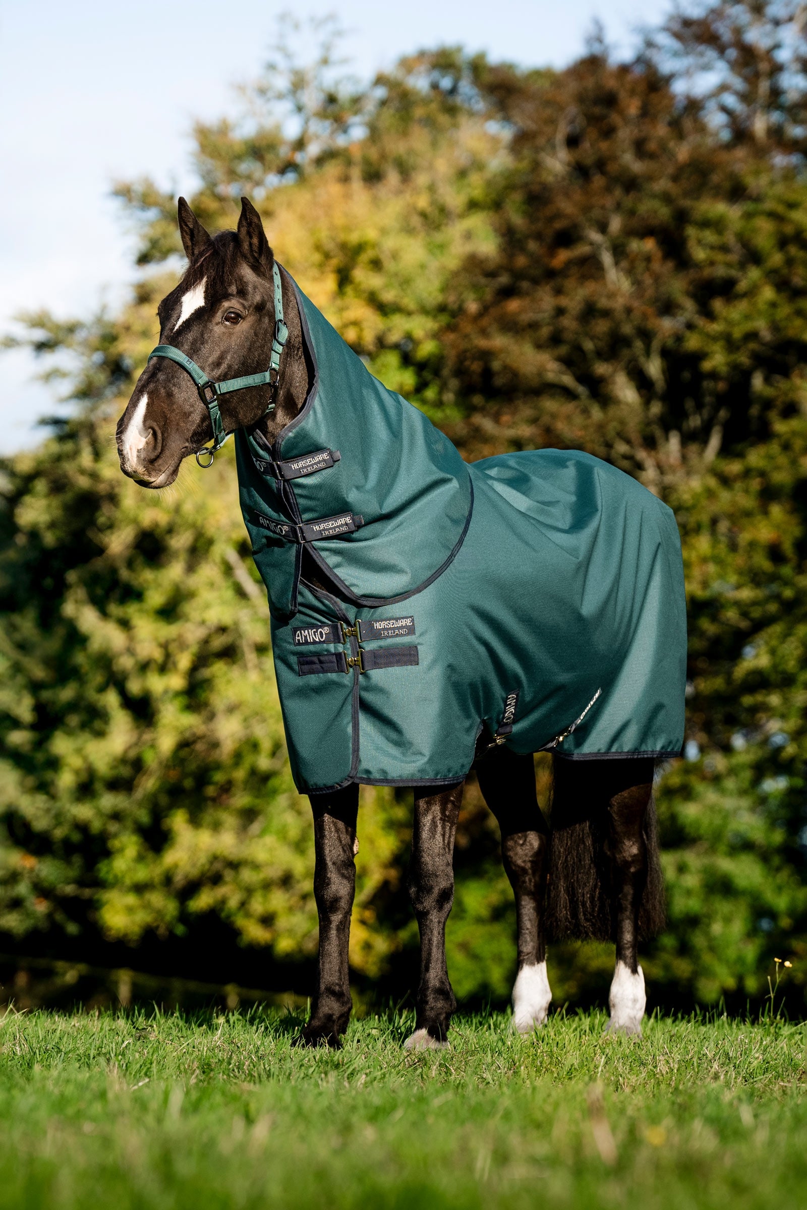 Horseware Amigo Ripstop 900D Plus utedekken for ponni, 100 g Dekken