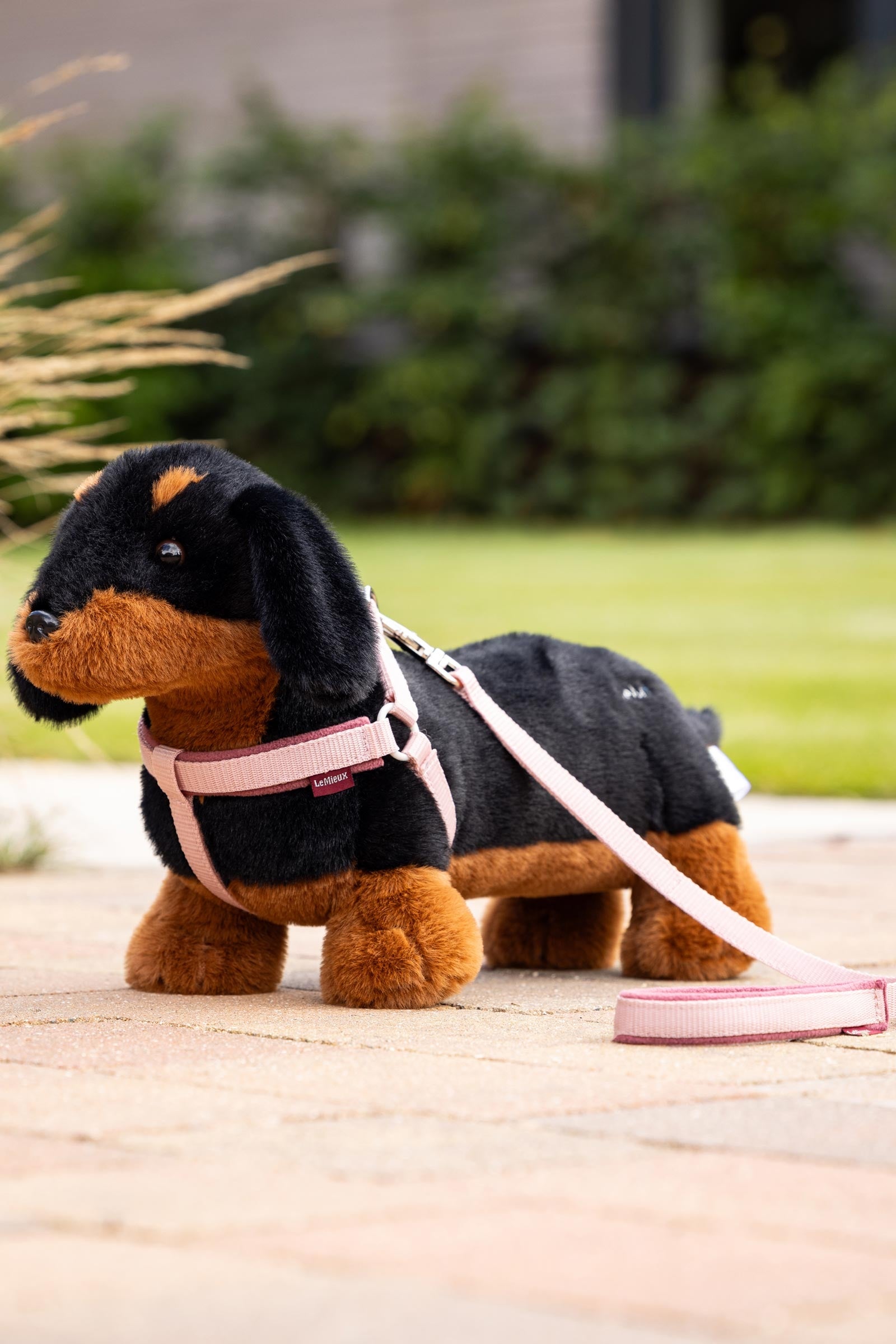 LeMieux Sally Toy Dog  Gifts & Toys