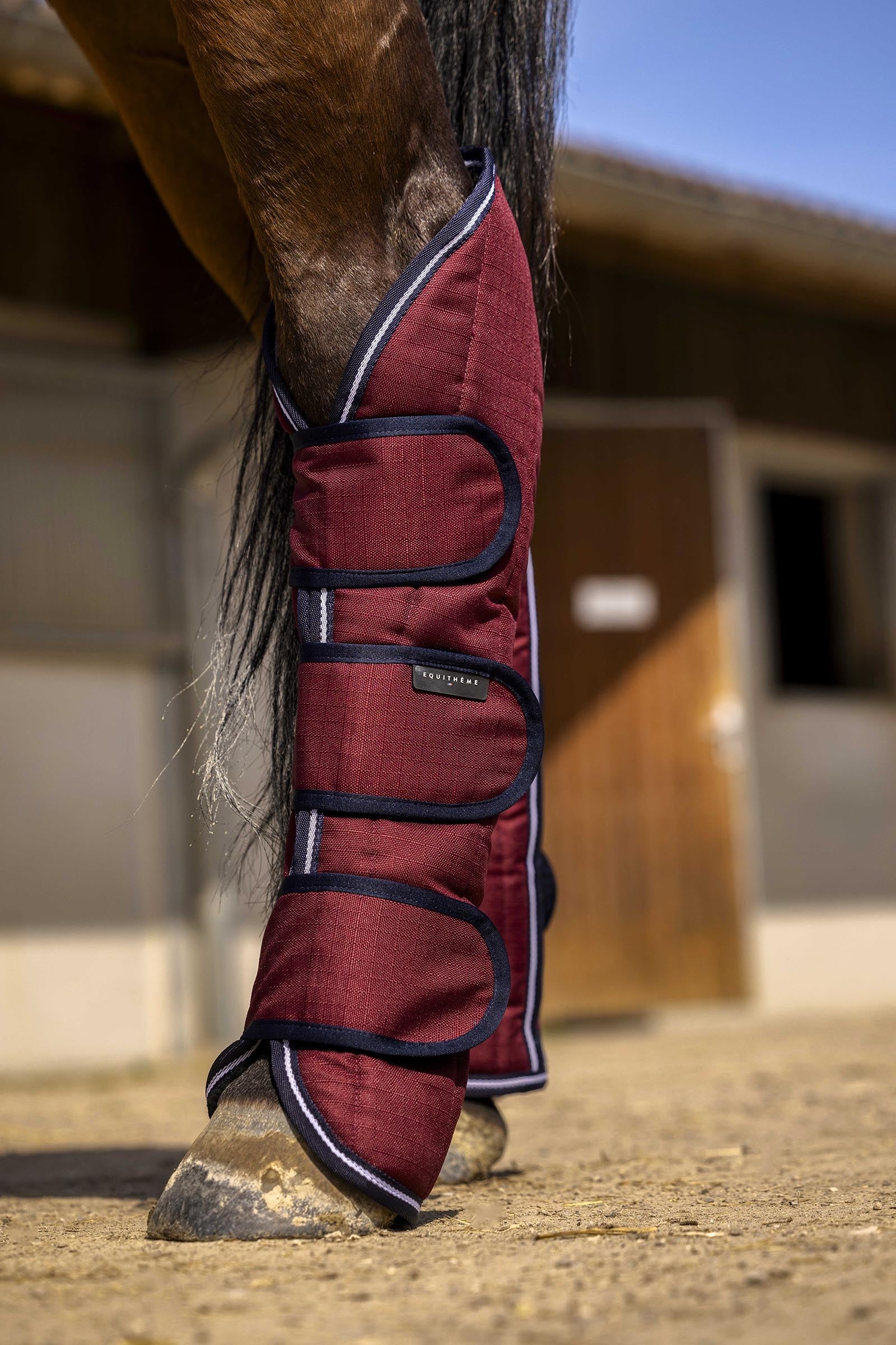 Equi Theme EQUITHÈME TYREX Aisance 1200D Transport Boots Leg & Hoof Protection
