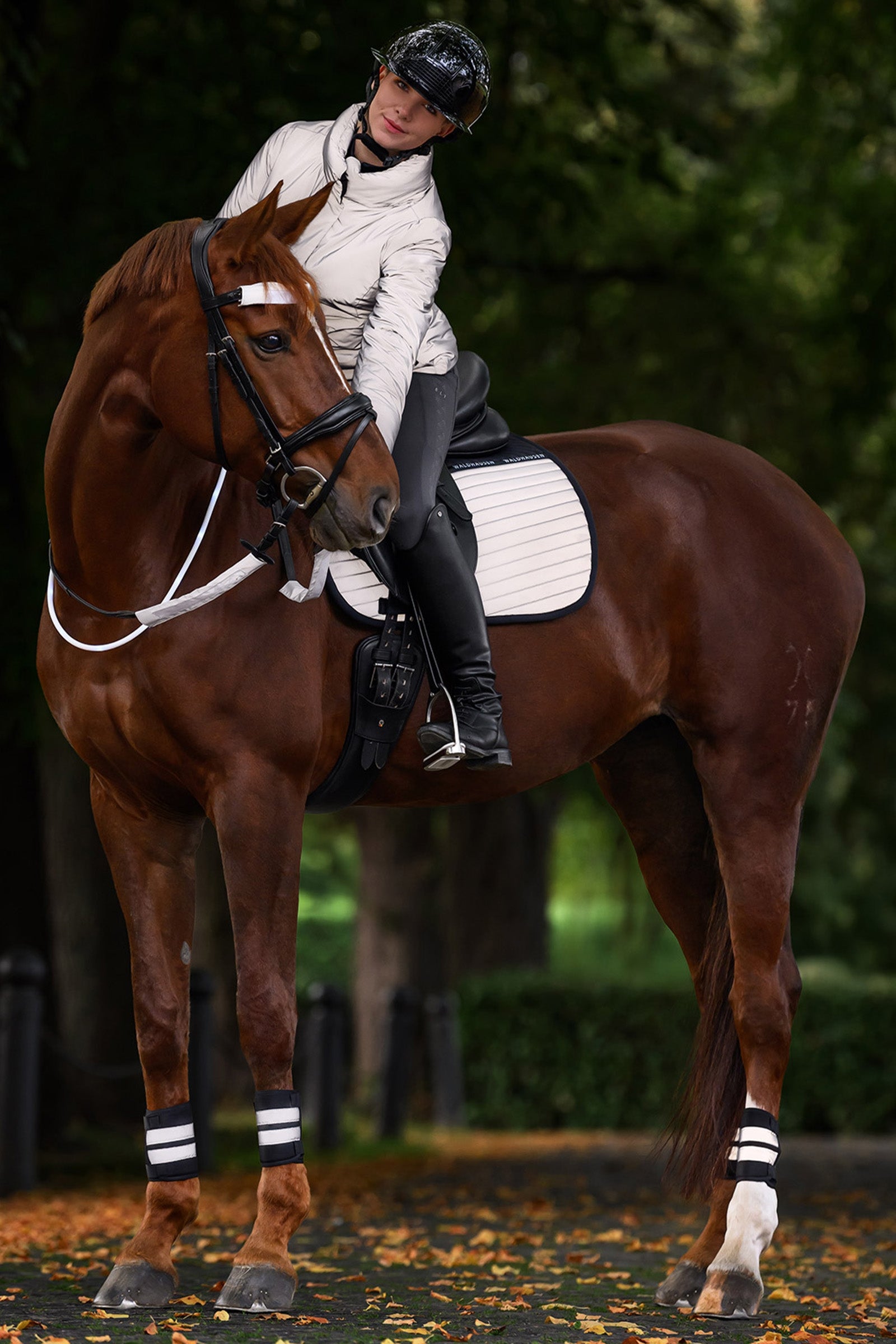 Waldhausen REFLEX Snaffle Bridle Set Reflective