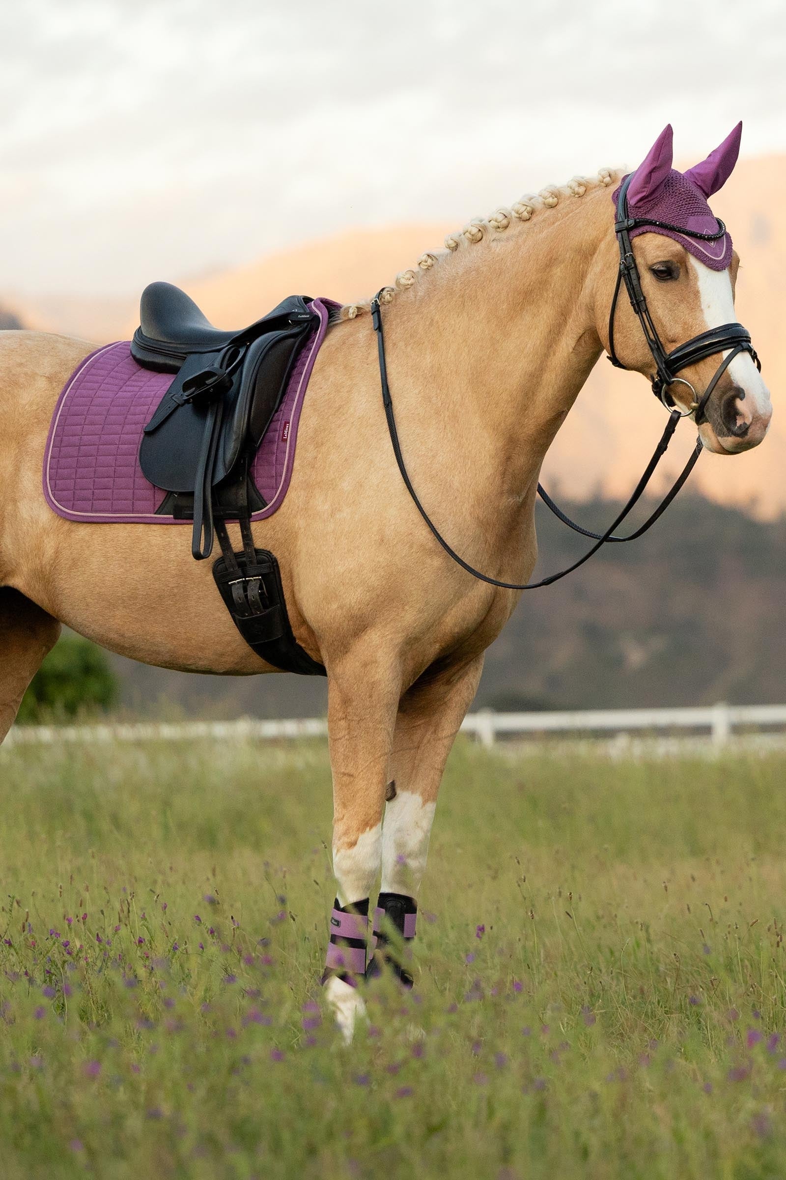 LeMieux Suede Square Dressage Saddle Pad Saddle Pads