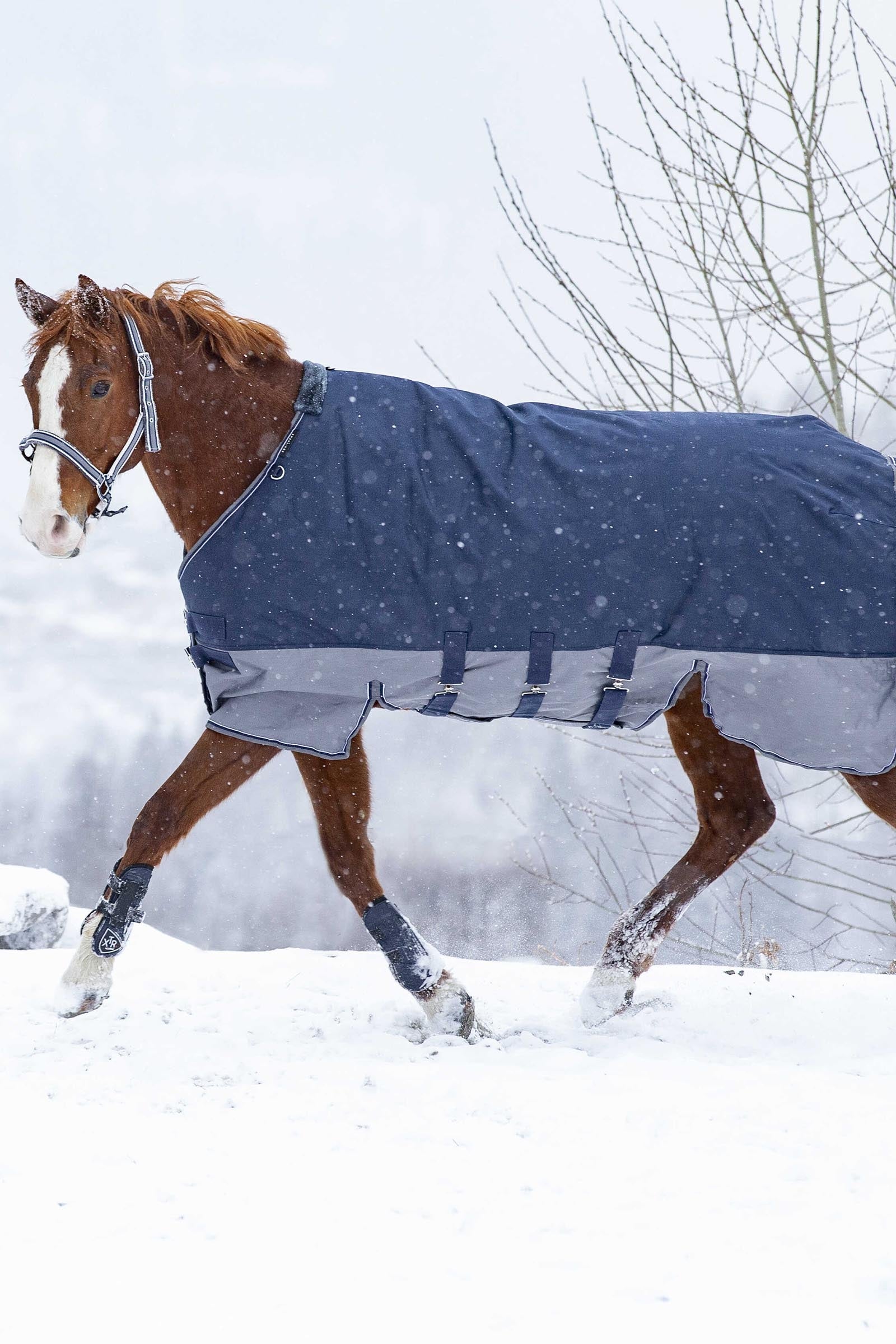 Equi Theme EQUITHÈME TYREX 600D Turnout Rug With Belly Flap, 300 g Horse Rugs