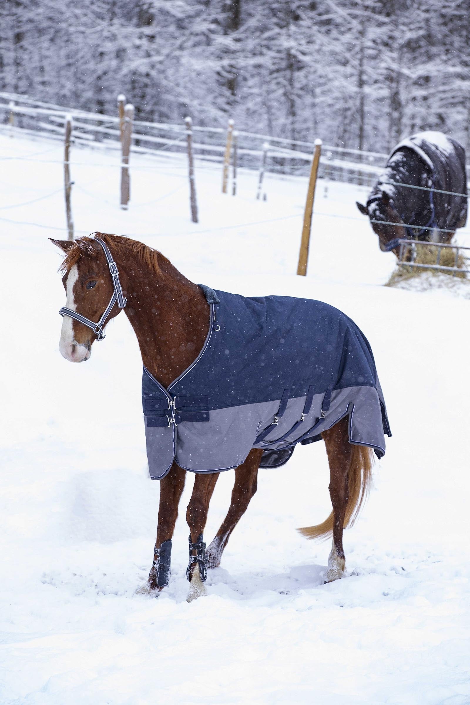 Equi Theme EQUITHÈME TYREX 600D Turnout Rug With Belly Flap, 300 g Horse Rugs