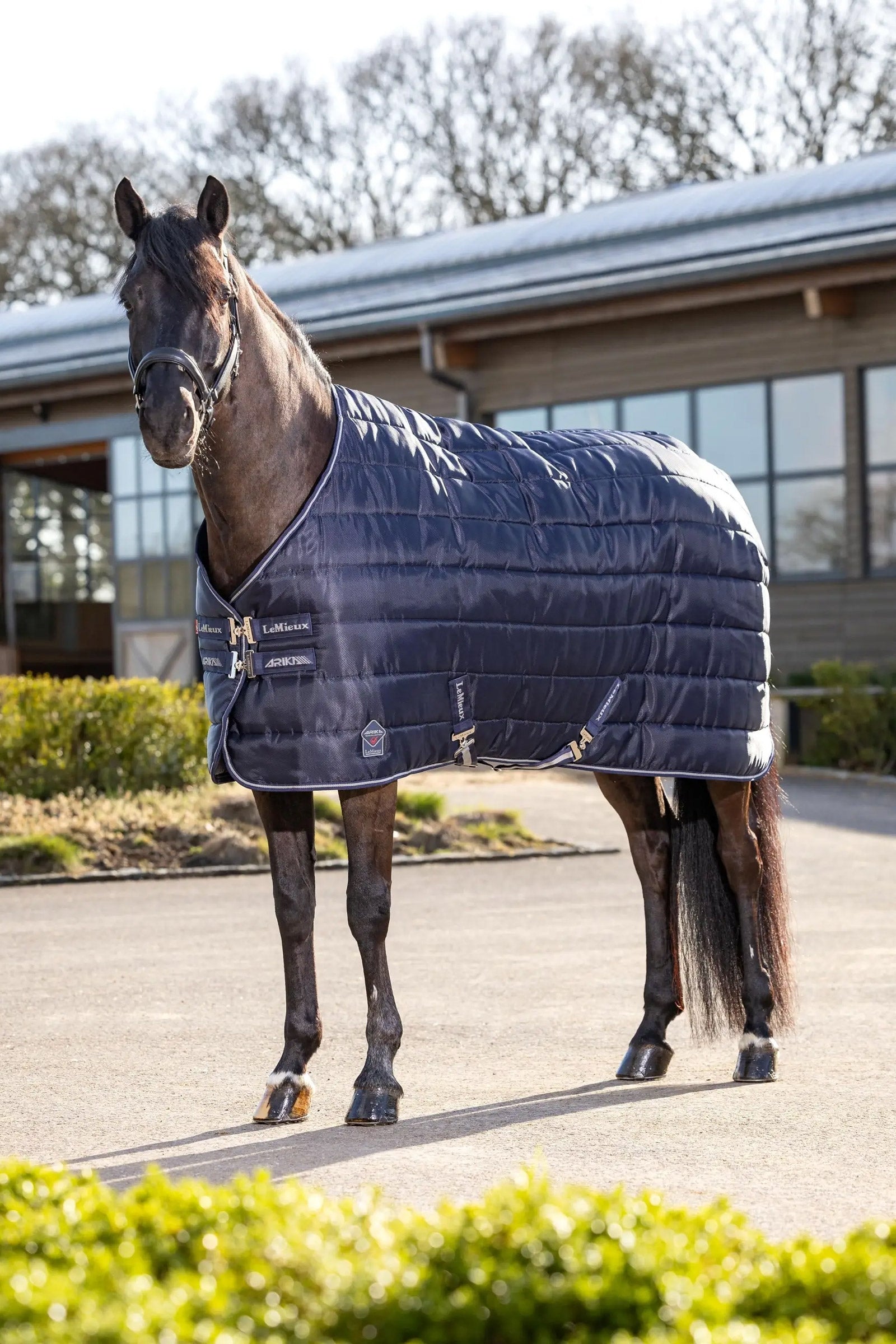 LeMieux Arika Stable-Tek Stable Rug, 200 g Dekken