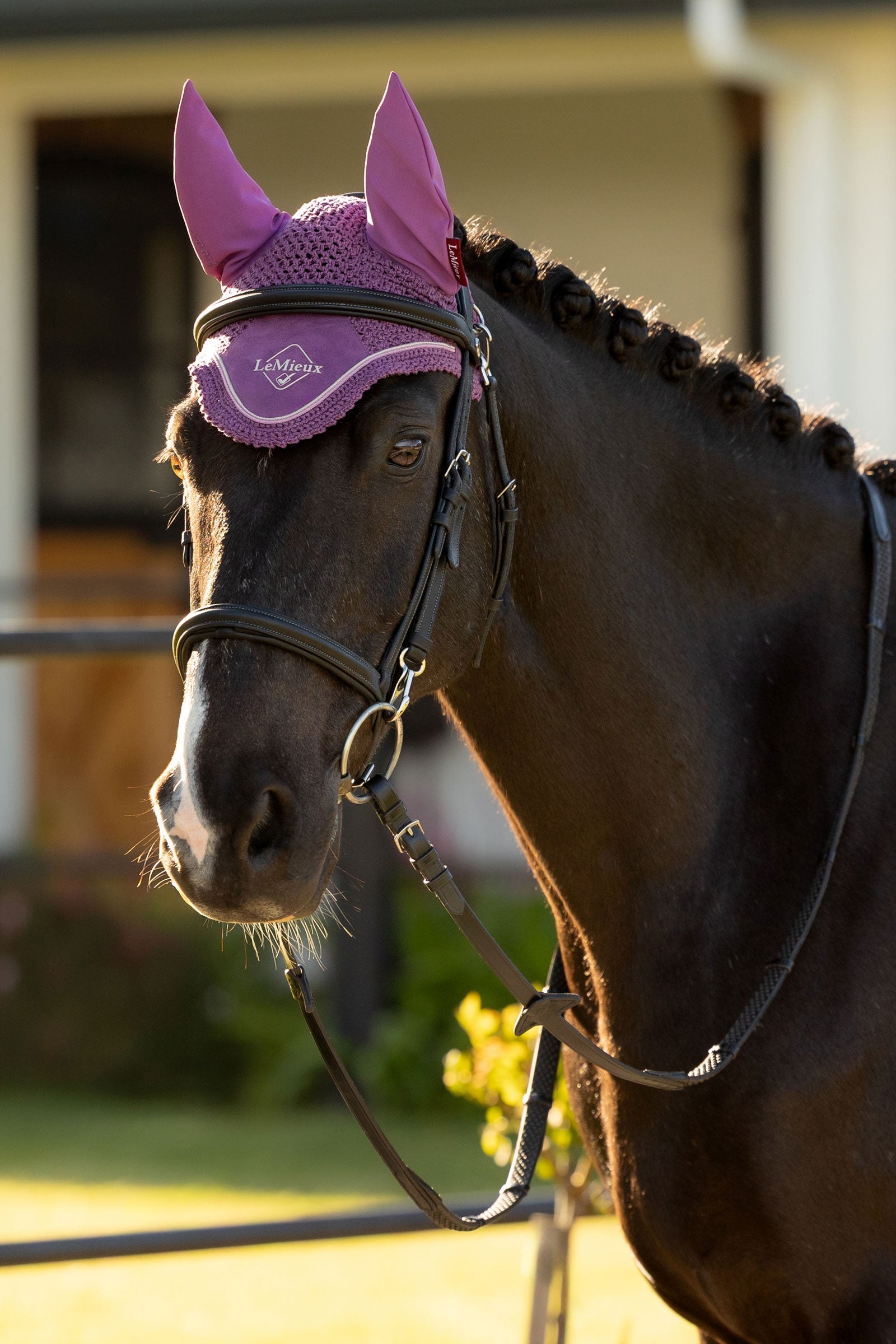 LeMieux Classic Fly Hood Saddle Pads