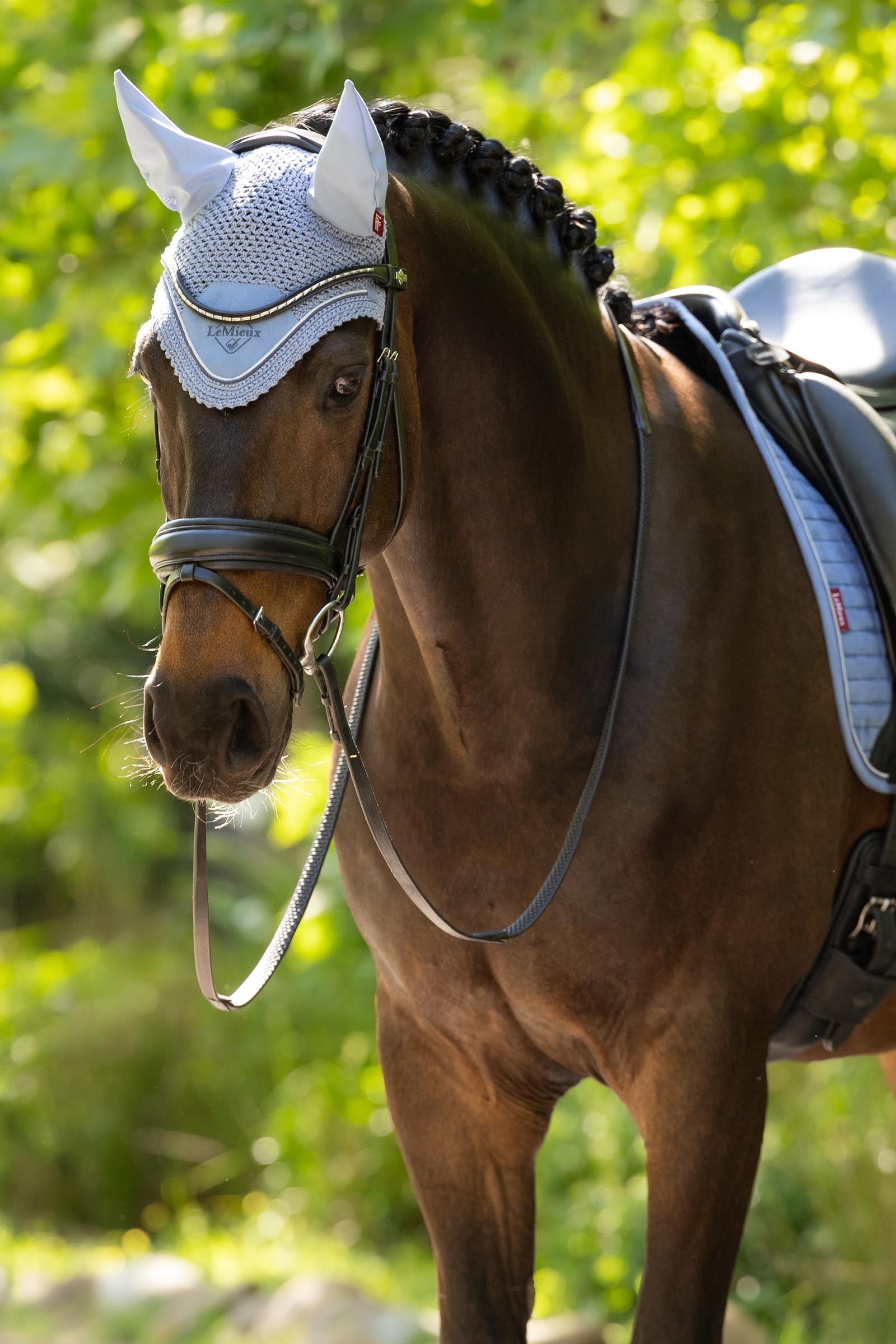 LeMieux Classic Fly Hood Saddle Pads