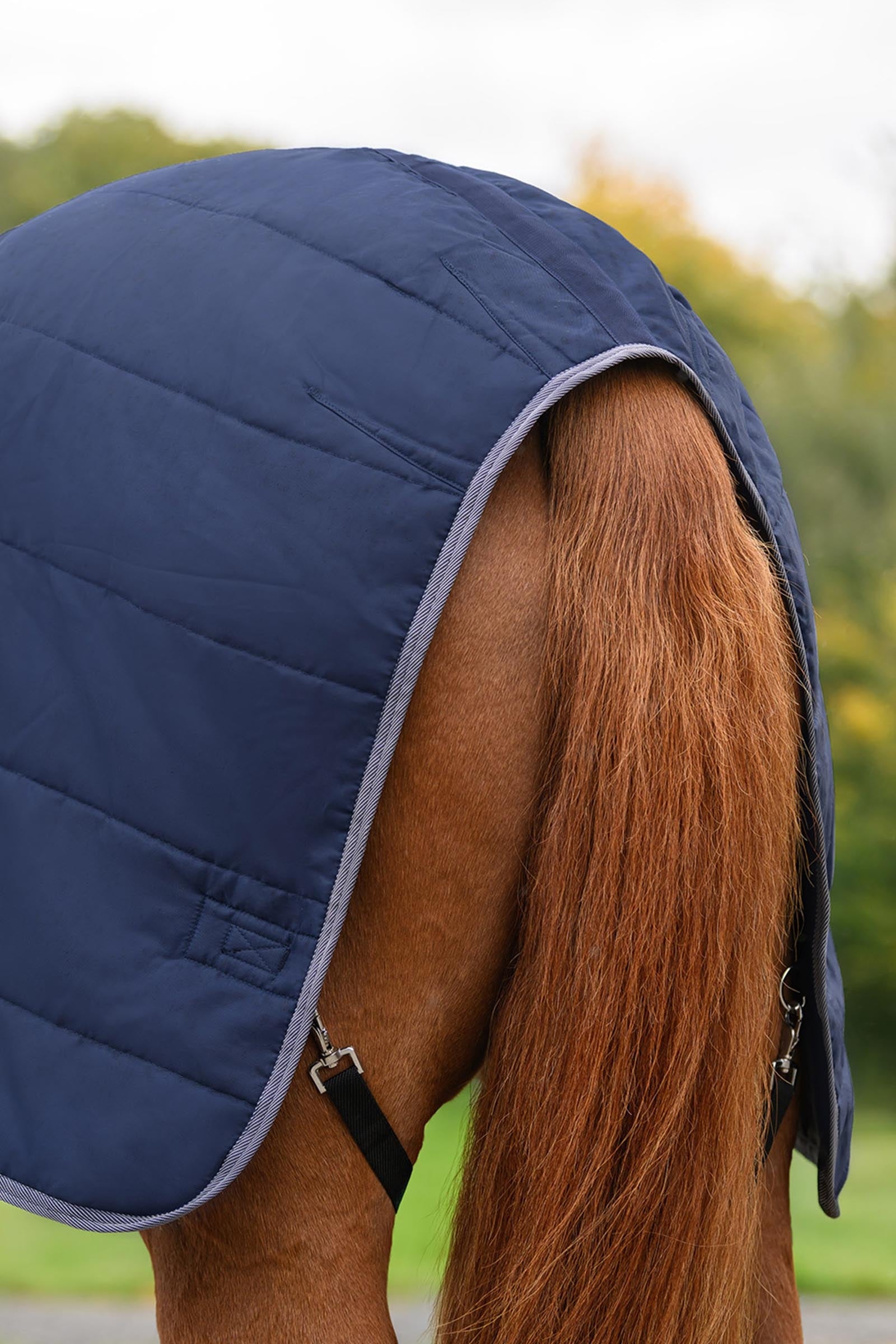 Waldhausen ECONOMIC Stable Rug, 100g Horse Rugs