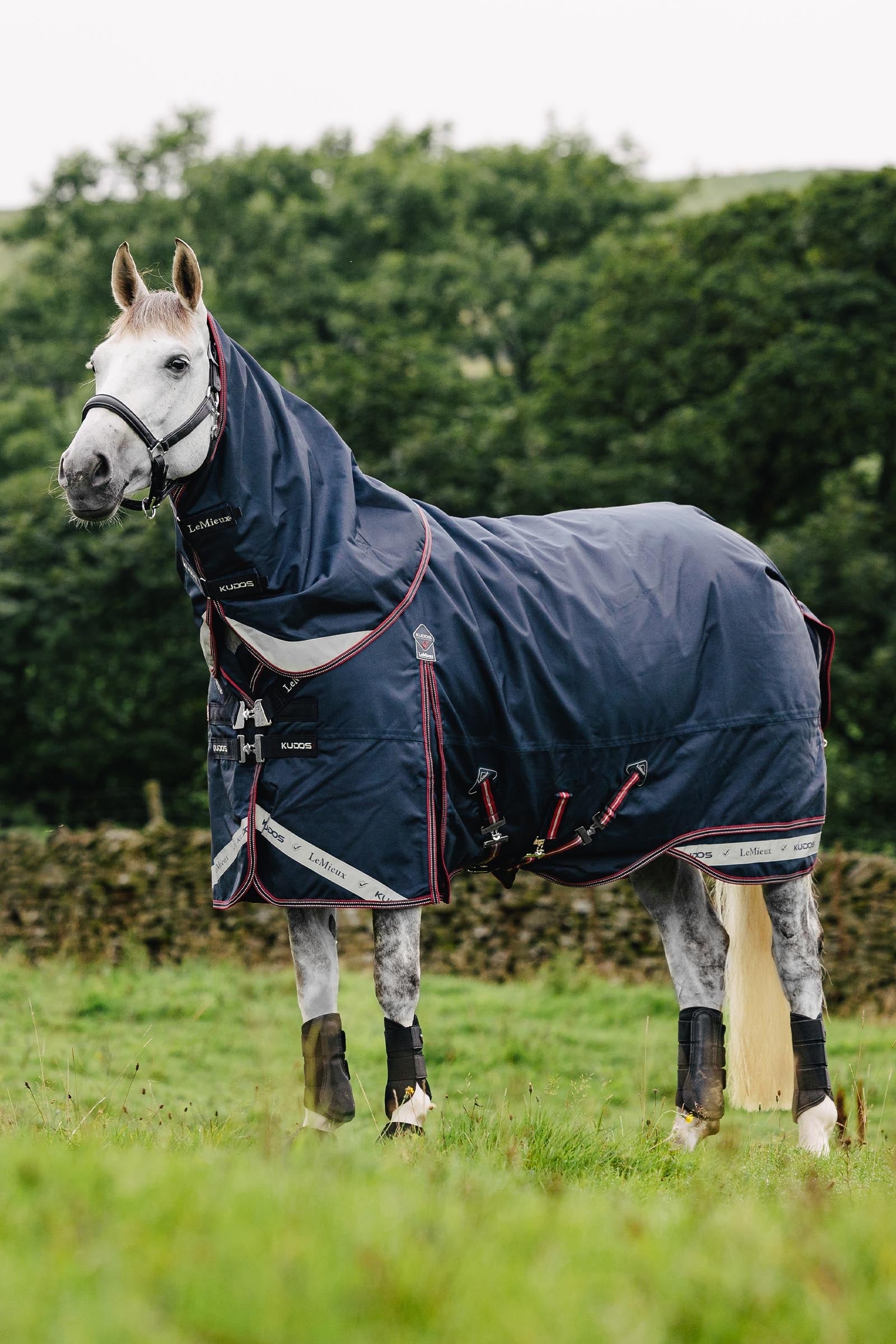 LeMieux Kudos Lightweight Turnout Rug, 50 g Dekken