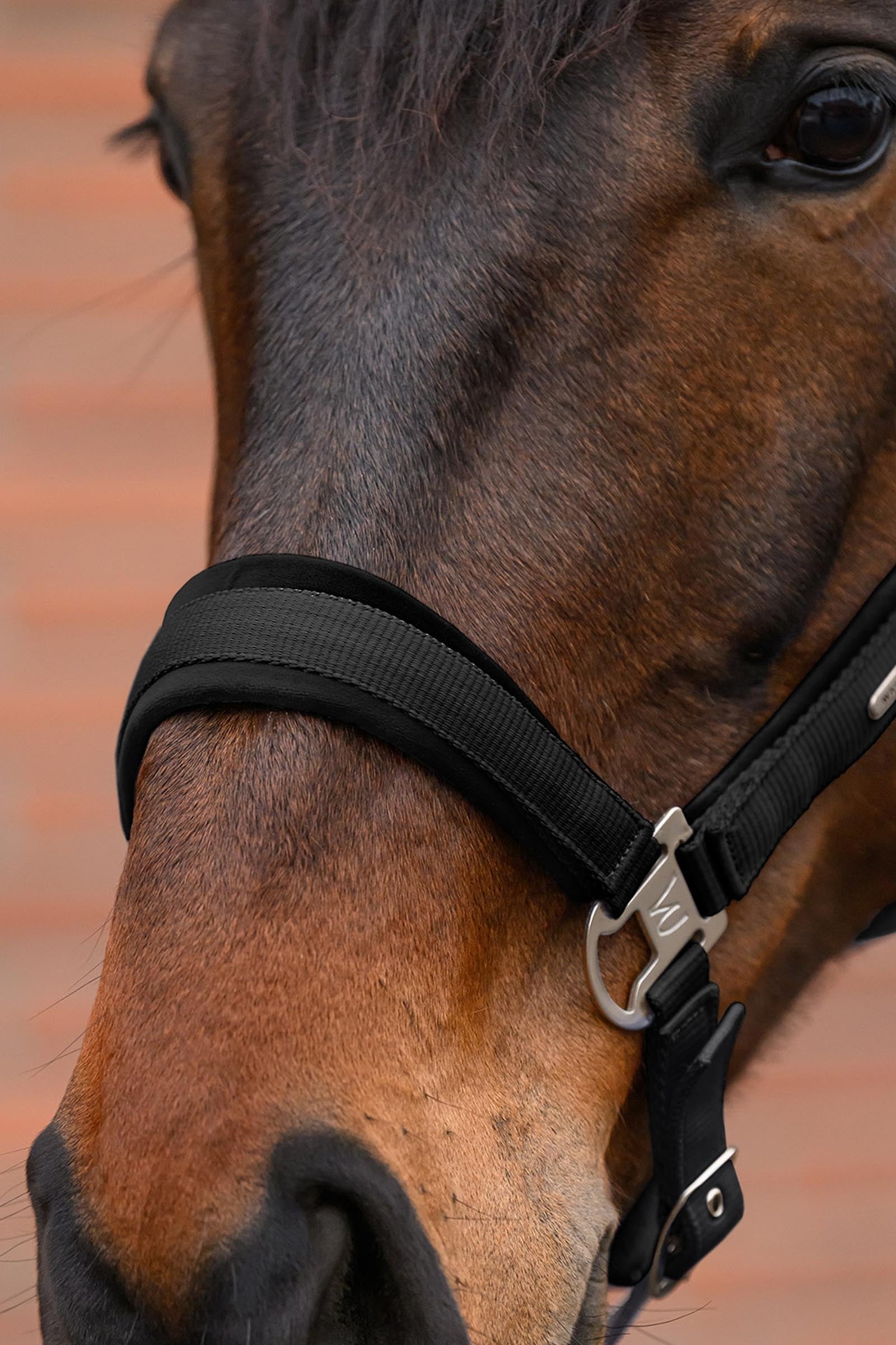 Waldhausen Velvet Halter and Lead Rope Set Halters & Leads