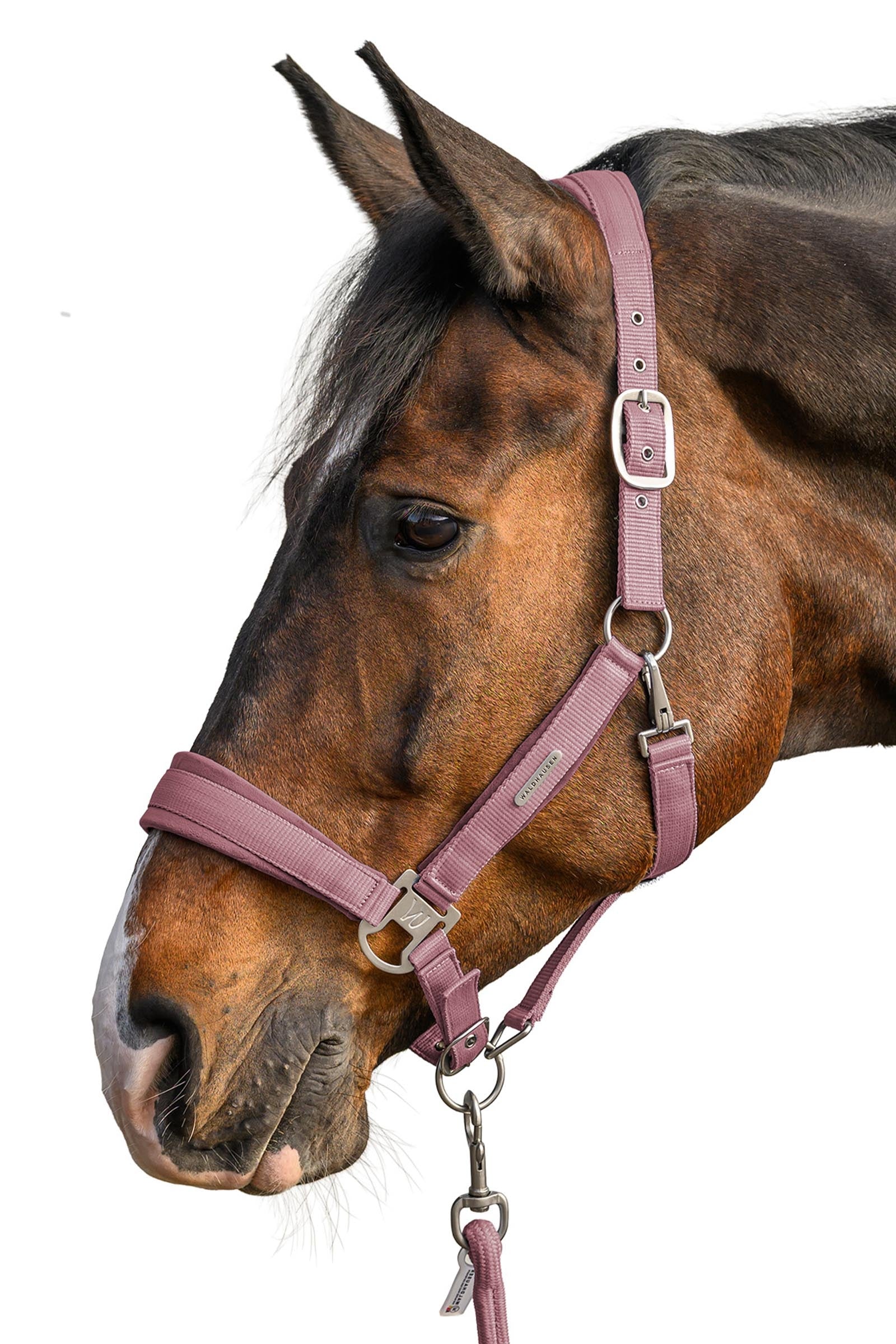 Waldhausen Velvet Halter and Lead Rope Set Halters & Leads