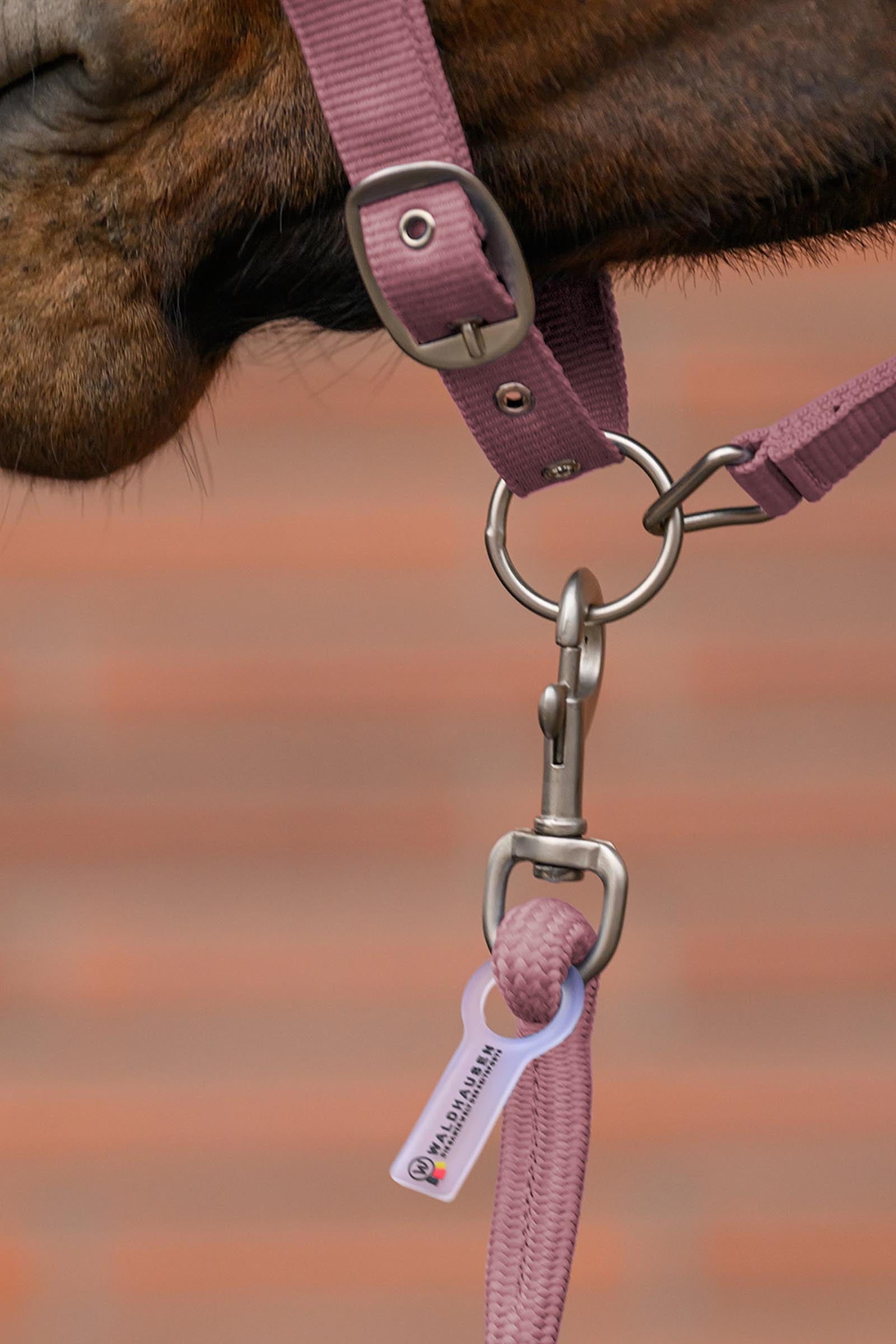 Waldhausen Velvet Halter and Lead Rope Set Halters & Leads