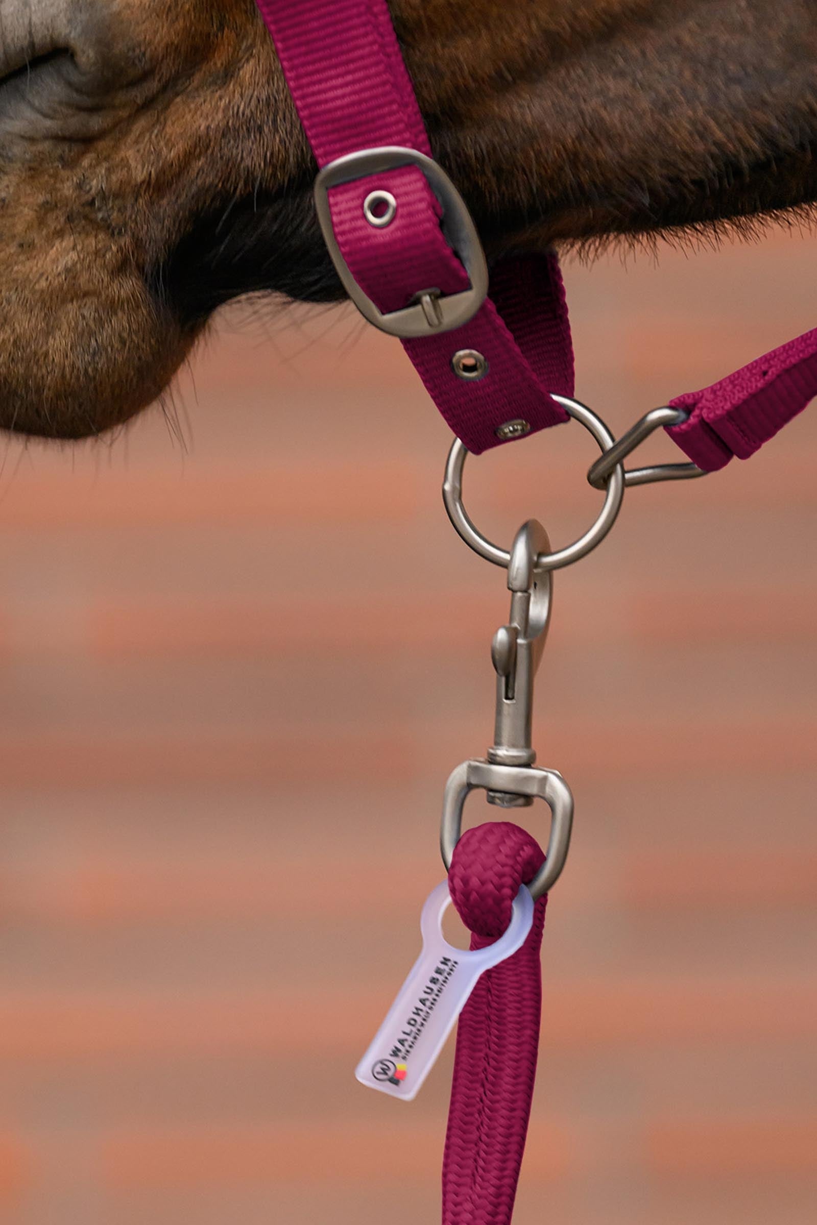Waldhausen Velvet Halter and Lead Rope Set Halters & Leads