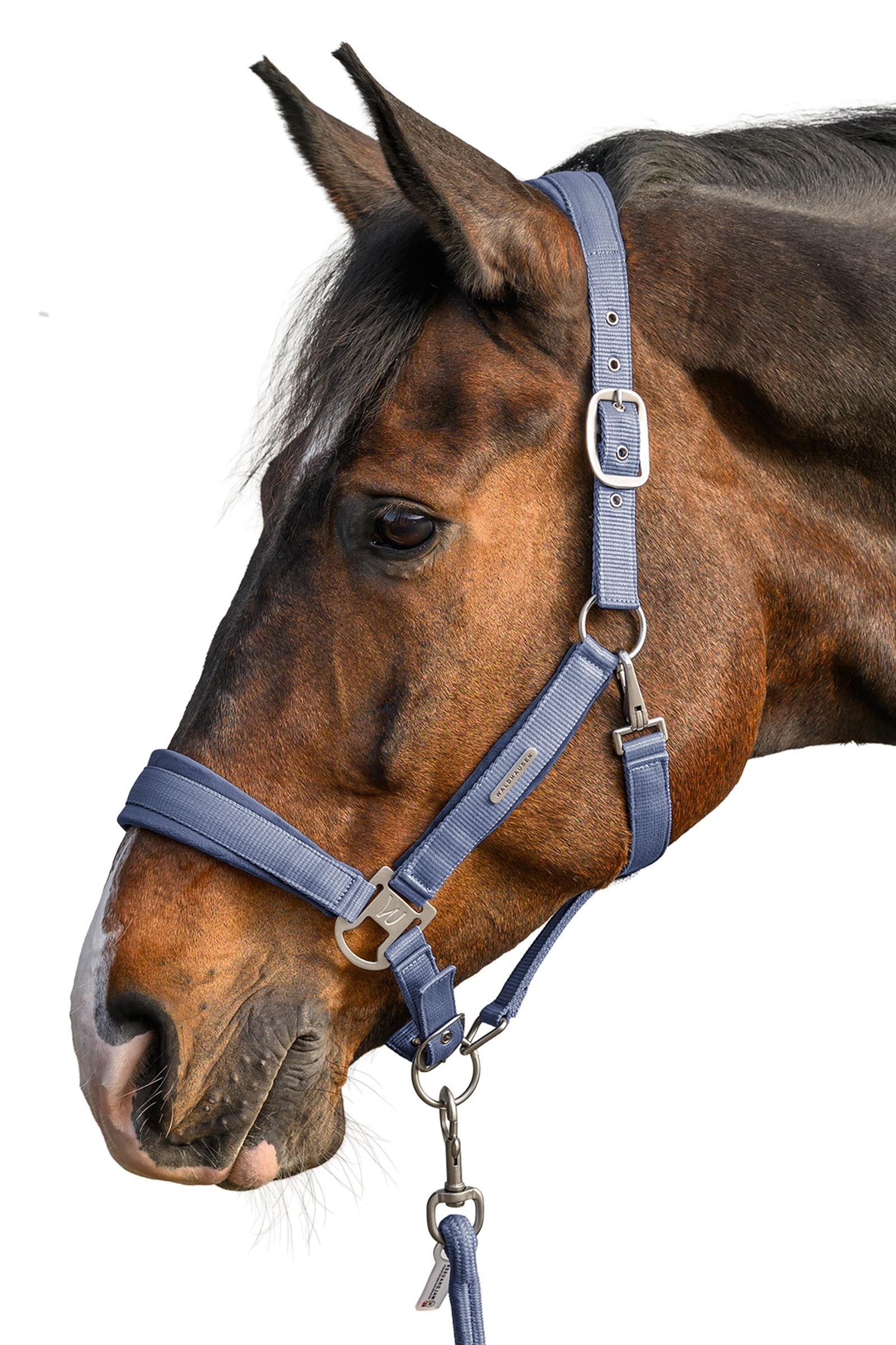 Waldhausen Velvet Halter and Lead Rope Set Halters & Leads