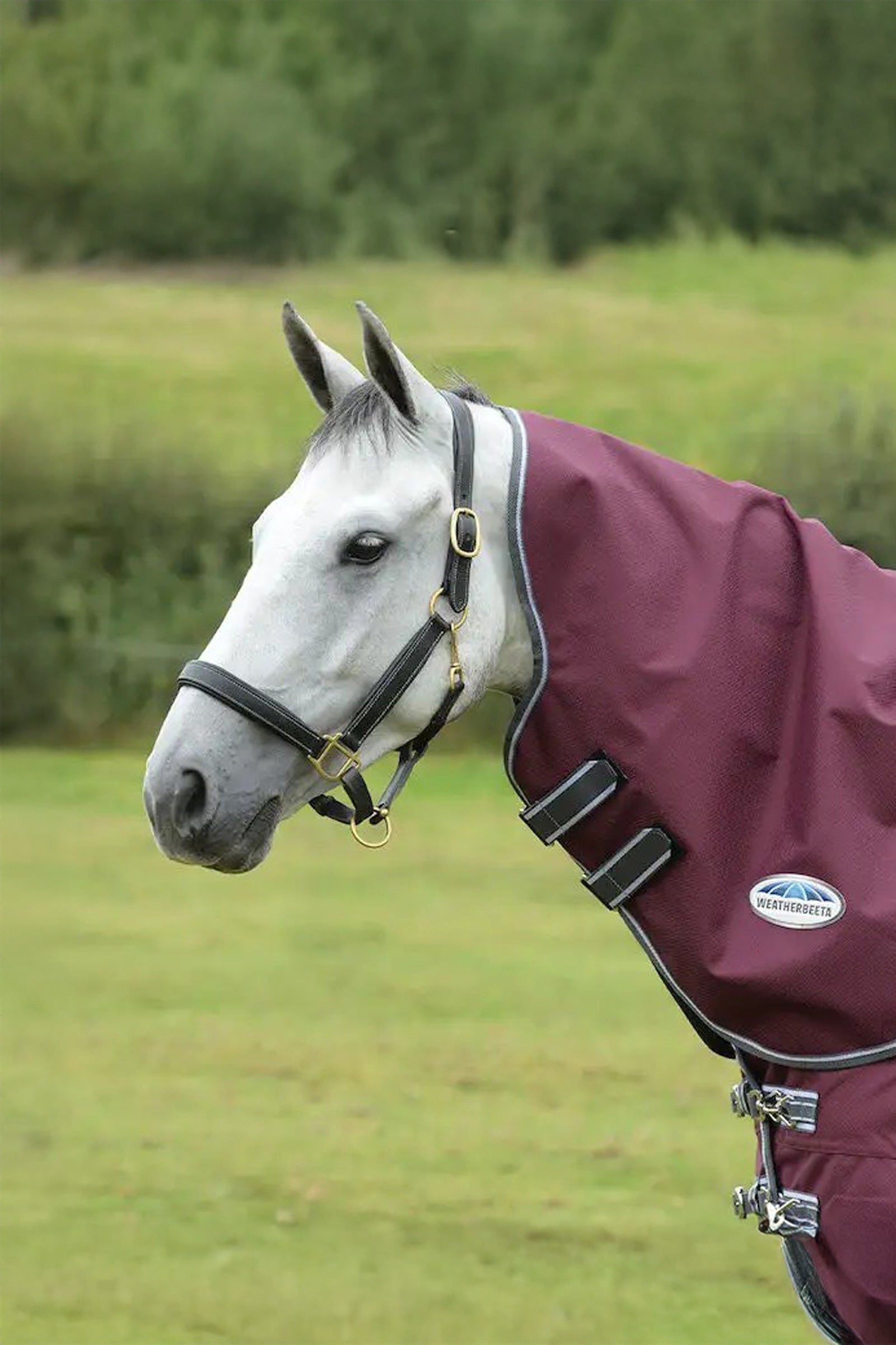 Weatherbeeta Comfitec Plus Dynamic II Medium/Lite halsteppe, 100g Dekken