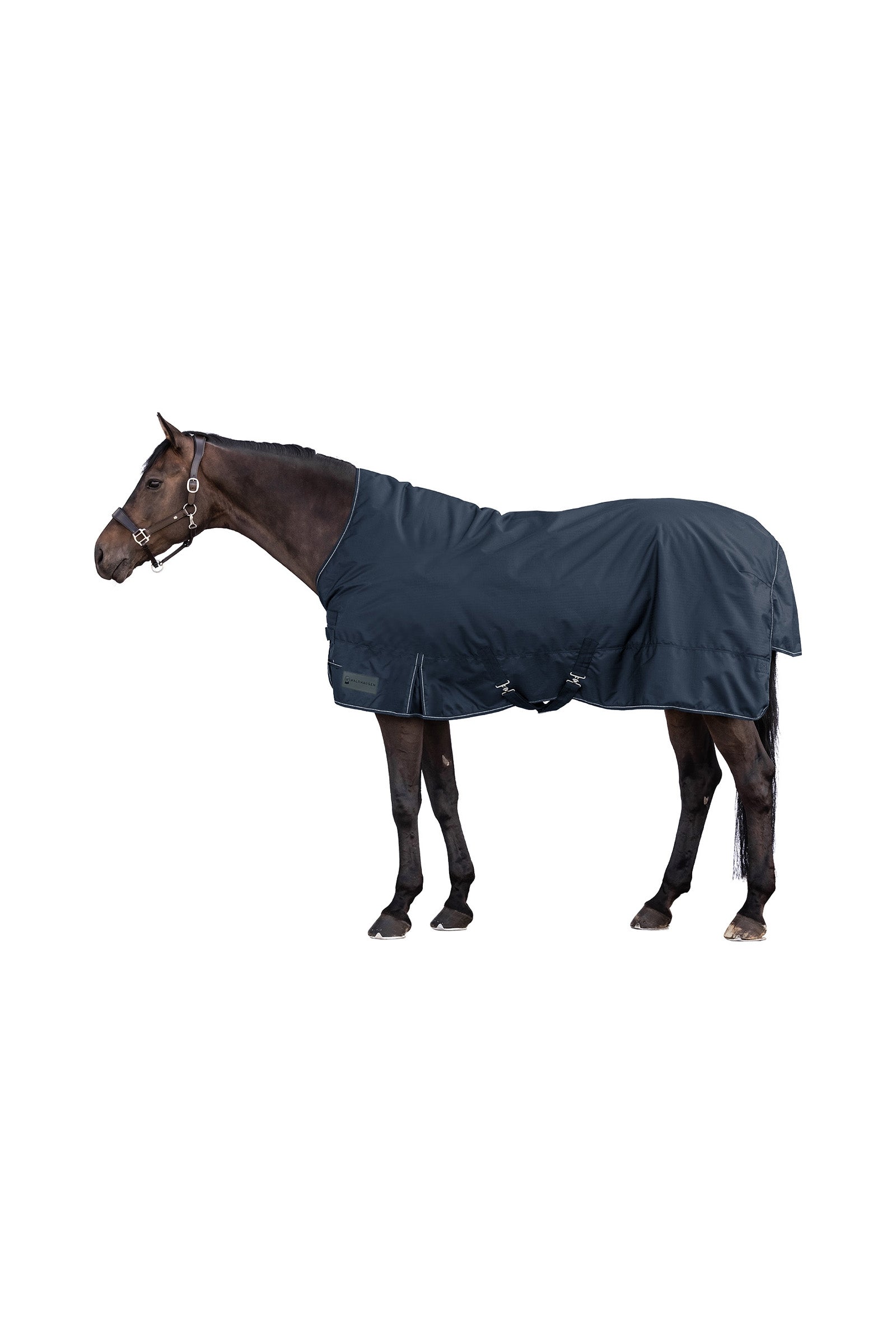 Waldhausen NORDIC High Neck Outdoor Rug, 200 g Horse Rugs