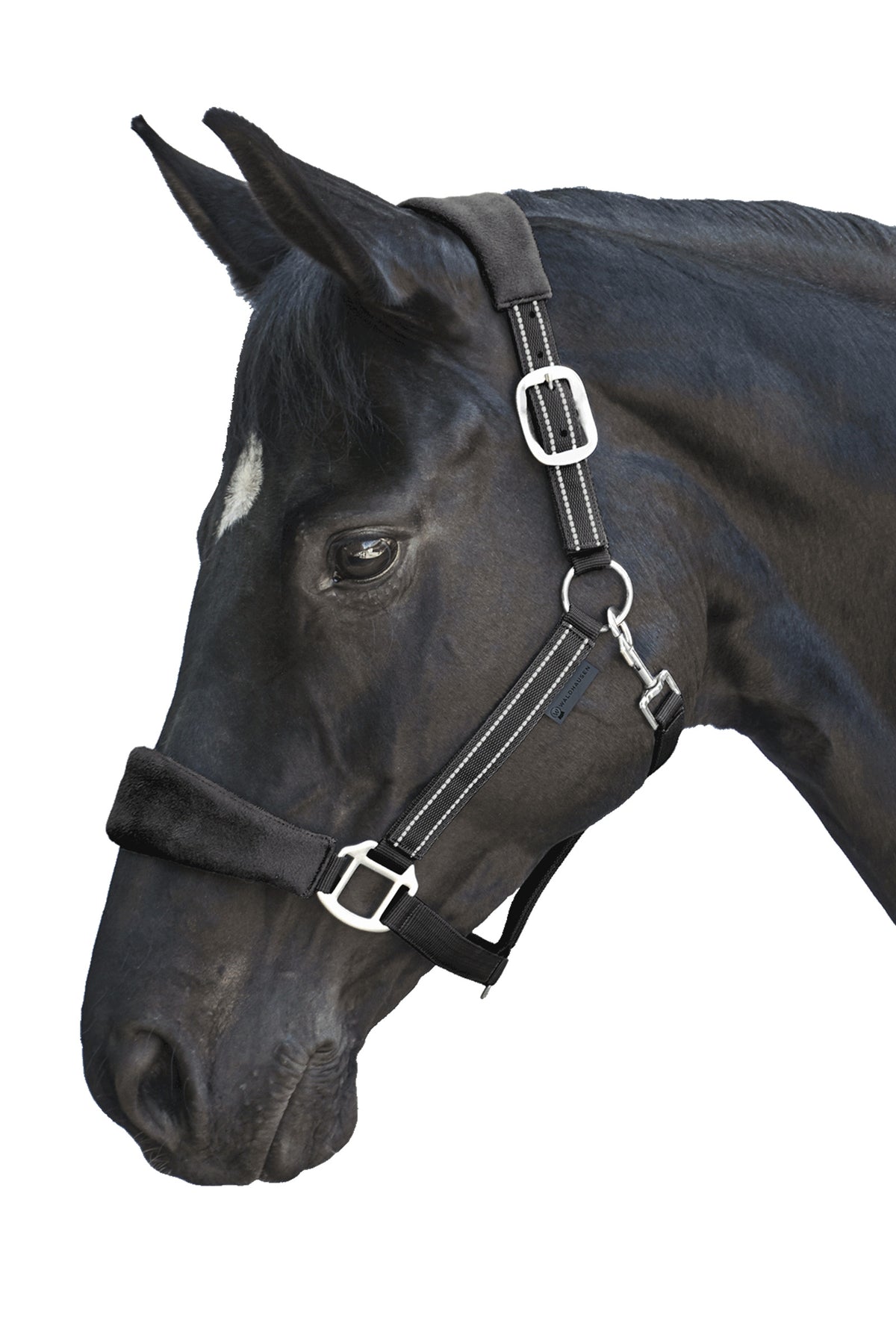 Waldhausen Alcantara Halter Halters & Leads