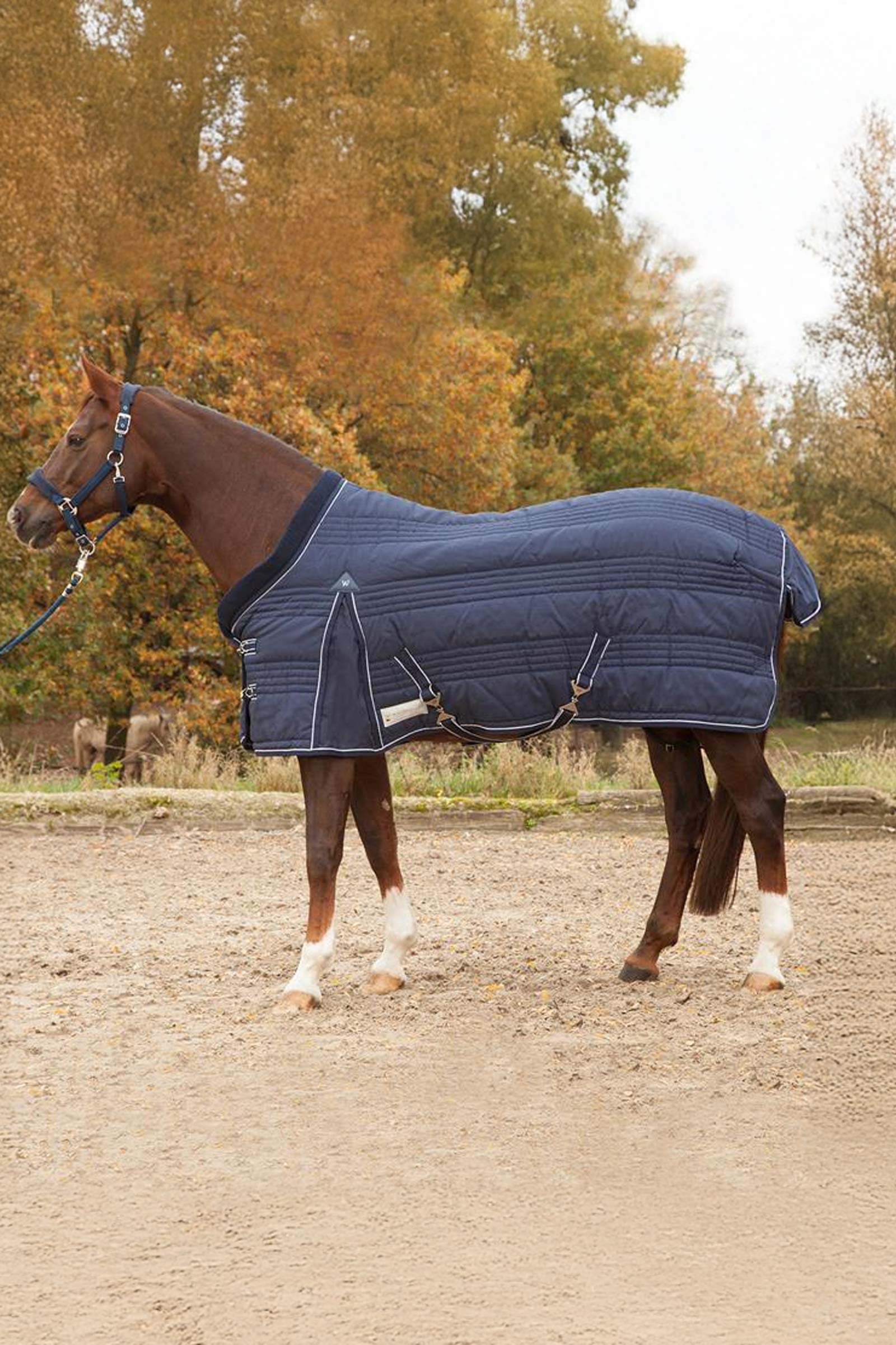 Waldhausen Stable Rug Comfort Line 100g Dekken