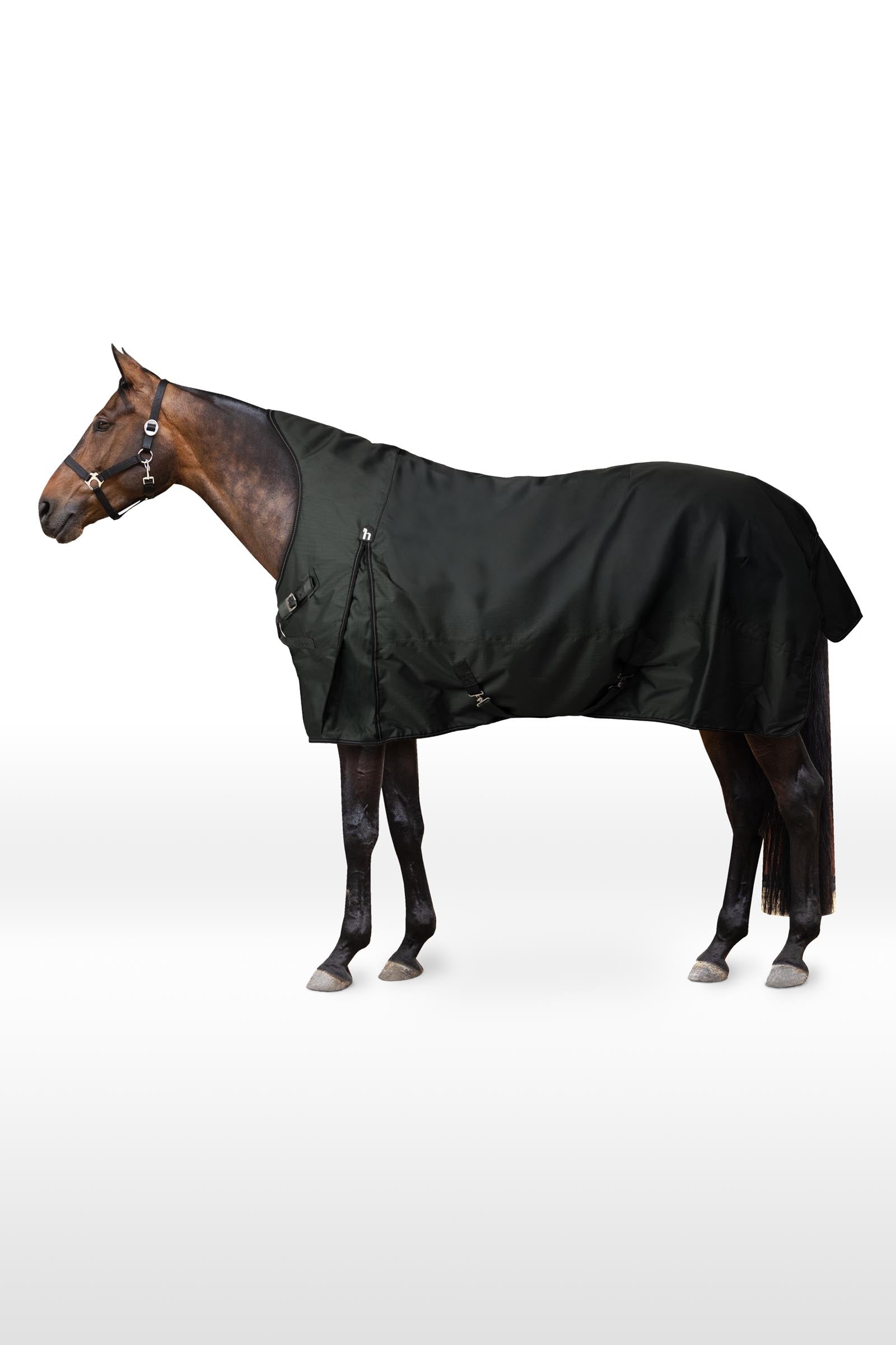 Horze Helsinki Turnout Rug With Half Neck, 300 g Horse Rugs
