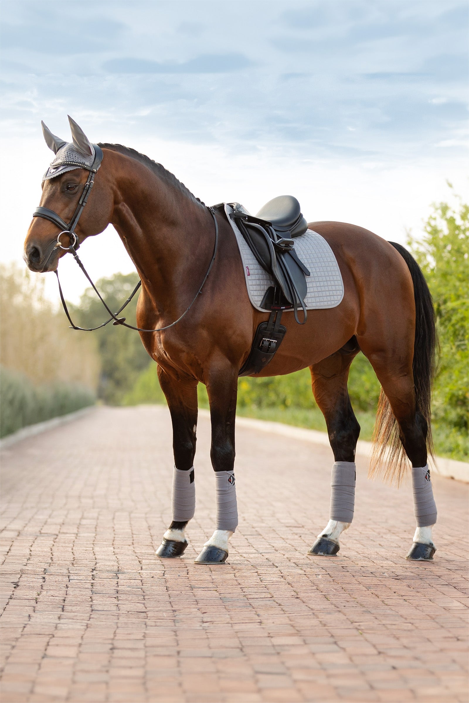 LeMieux Suede dressursjabrak Sjabraker