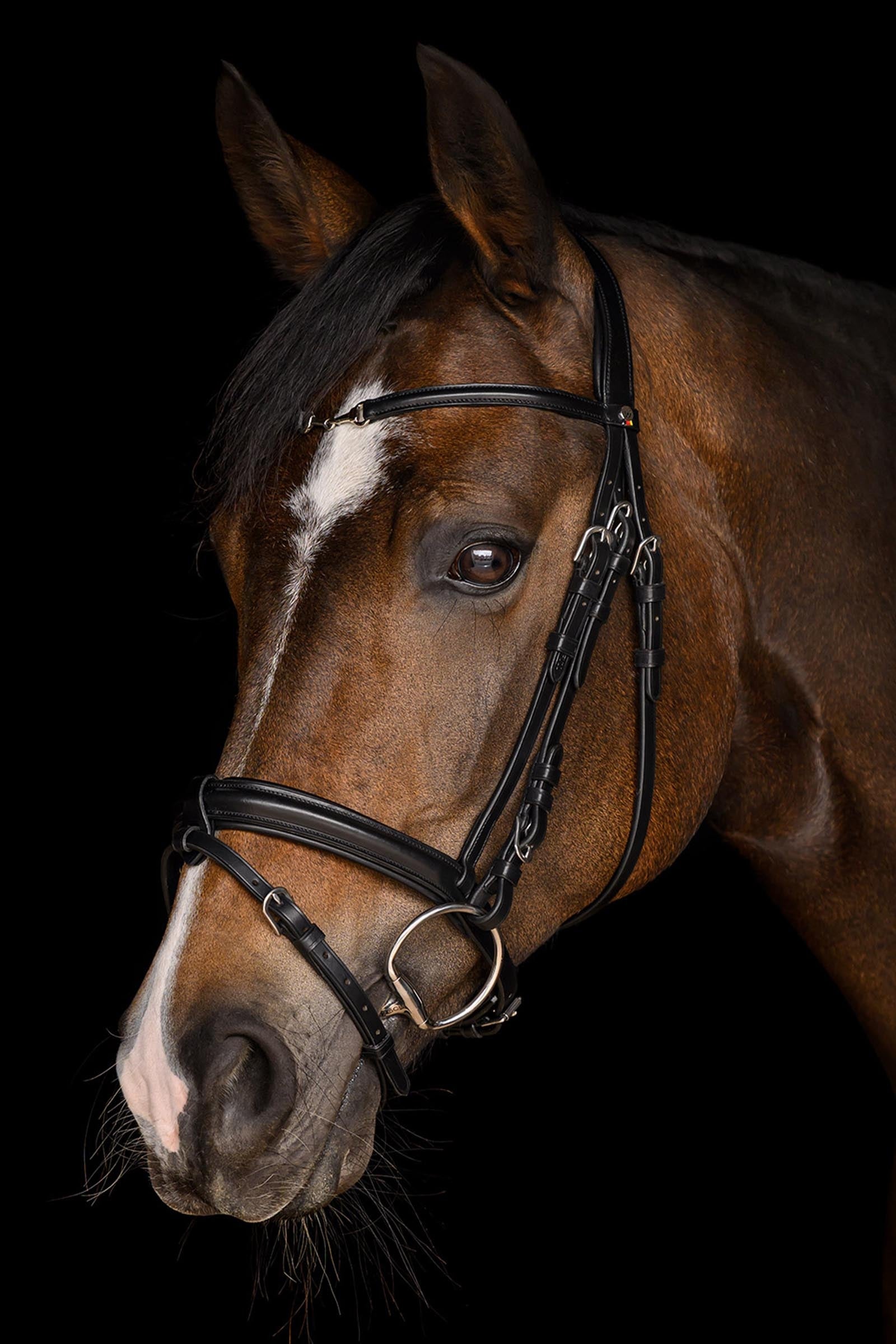 Waldhausen X-Line Charmbit Bridle Bridles & Reins