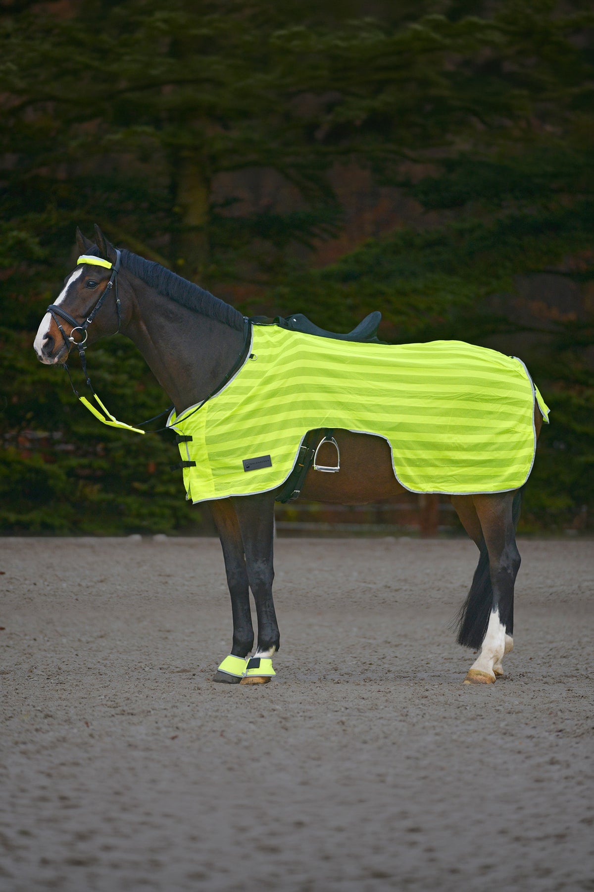 Waldhausen REFLEX Riding Sheet With Saddle Cut Reflective