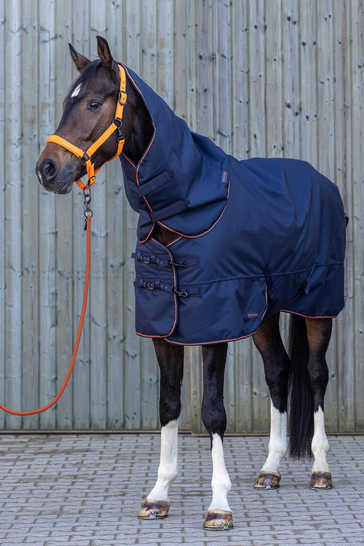 Covalliero FW26 Neck Piece 50g Horse Rugs