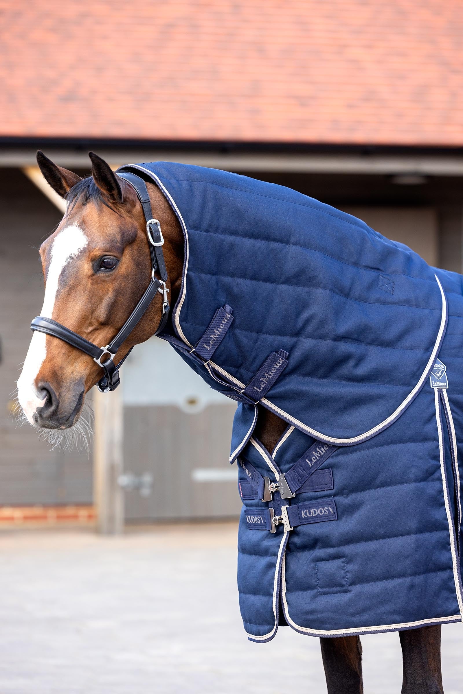 LeMieux Kudos Stable Neck Cover 200g Horse Rugs