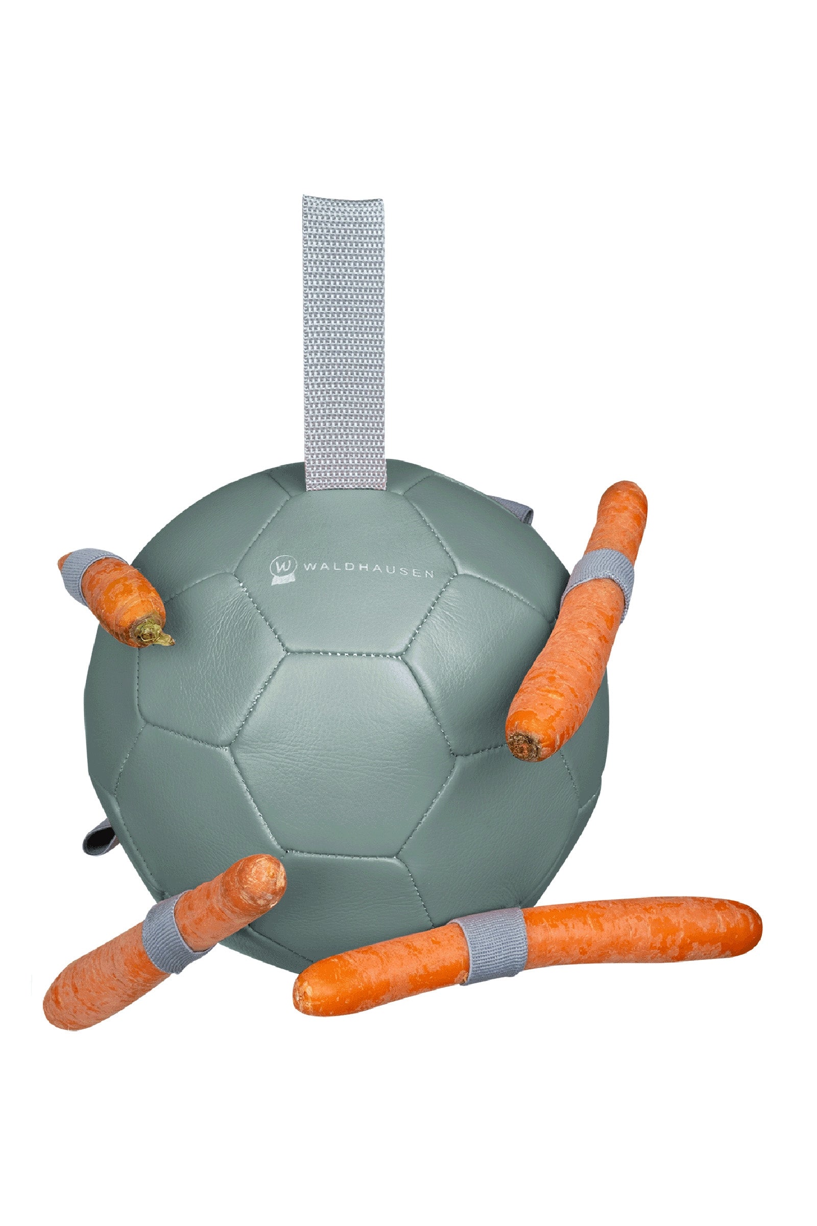 Waldhausen Gulrotball Arenautstyr og leker