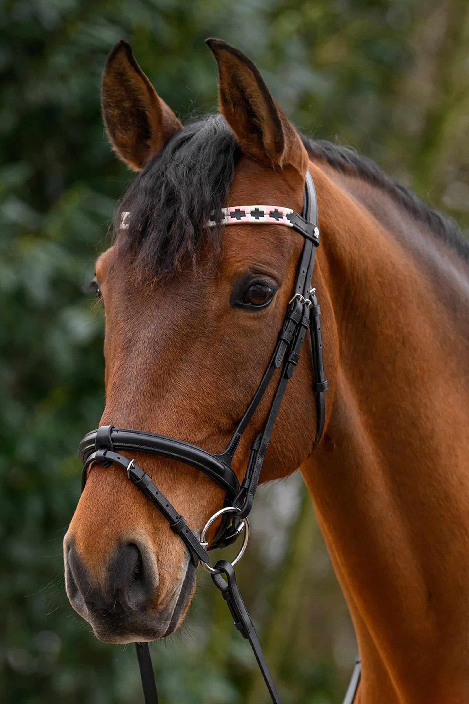 Waldhausen X-Line Polo Browband Bridles & Reins