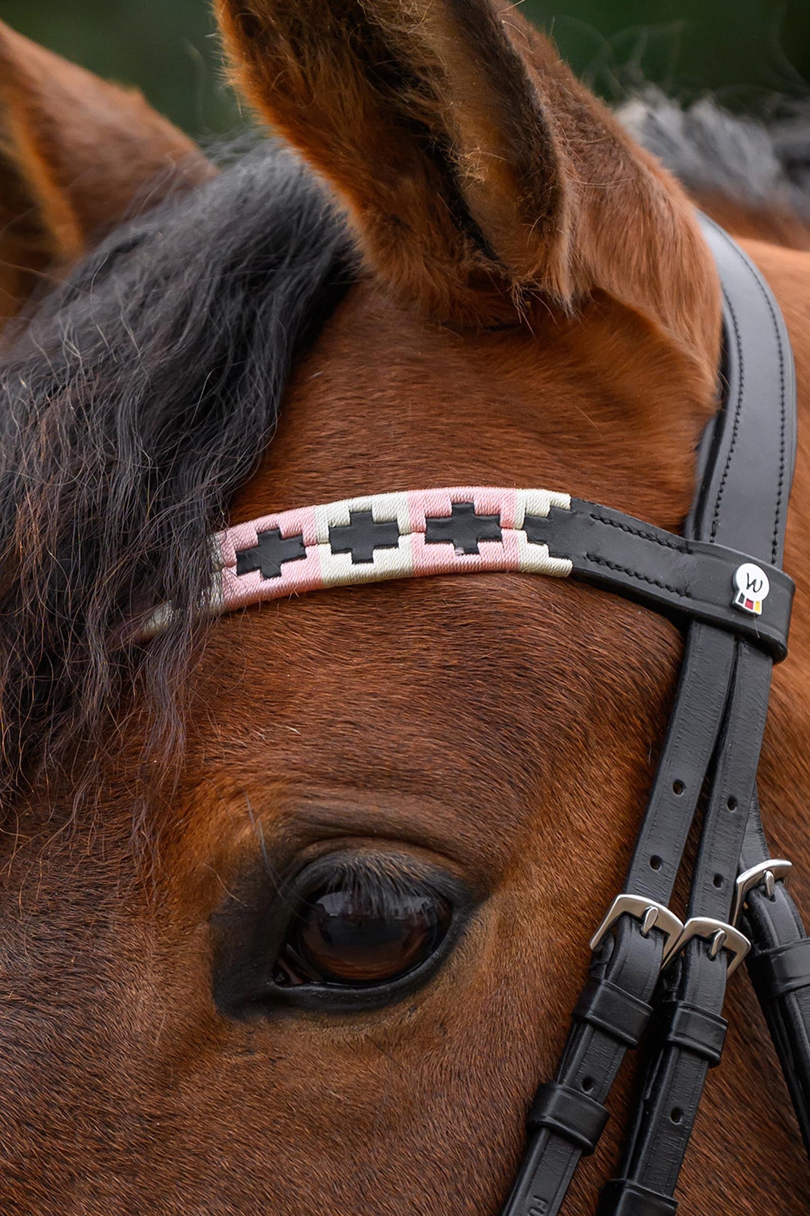 Waldhausen X-Line Polo Browband Bridles & Reins