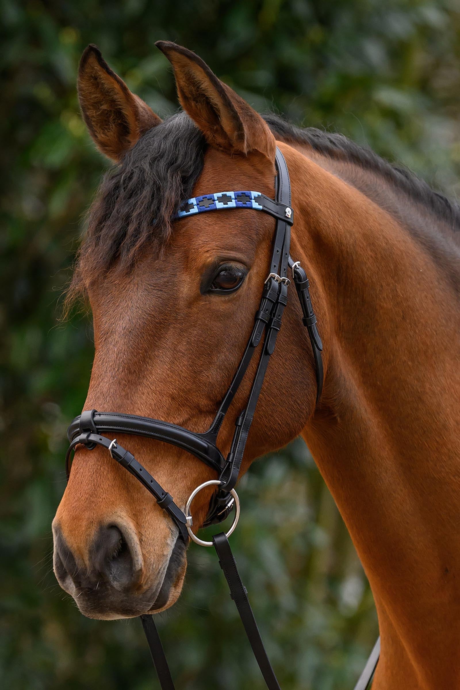 Waldhausen X-Line Polo Browband Bridles & Reins
