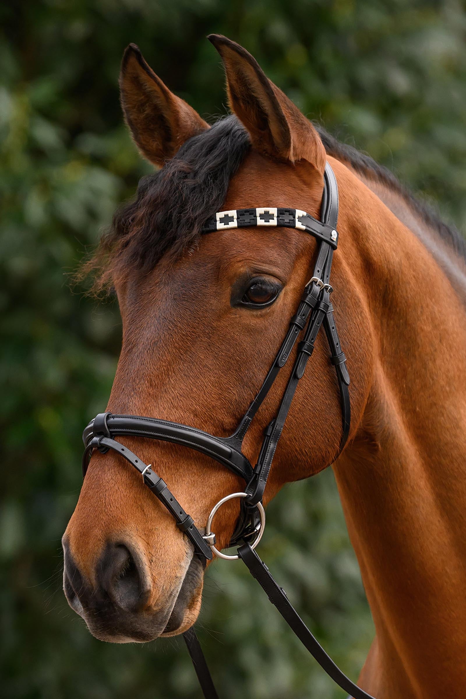 Waldhausen X-Line Polo Browband Bridles & Reins