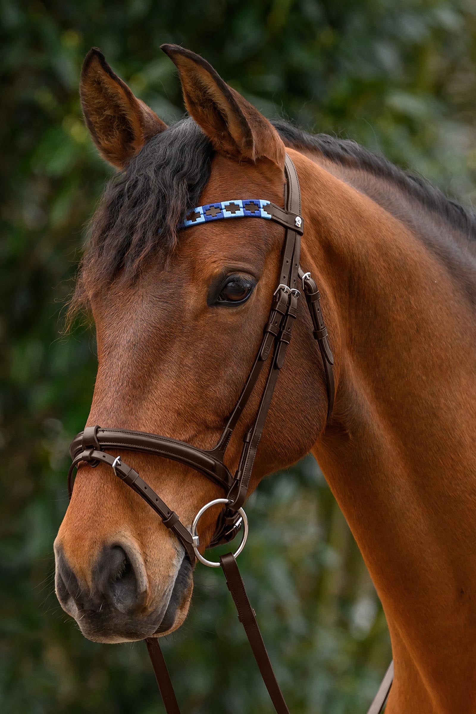 Waldhausen X-Line Polo Browband Bridles & Reins