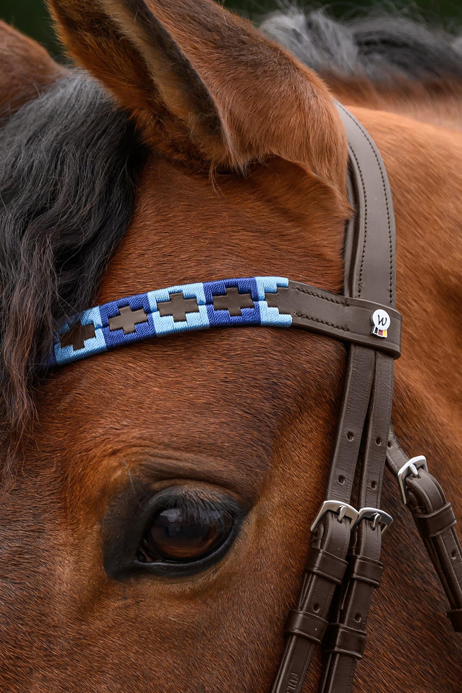 Waldhausen X-Line Polo Browband Bridles & Reins