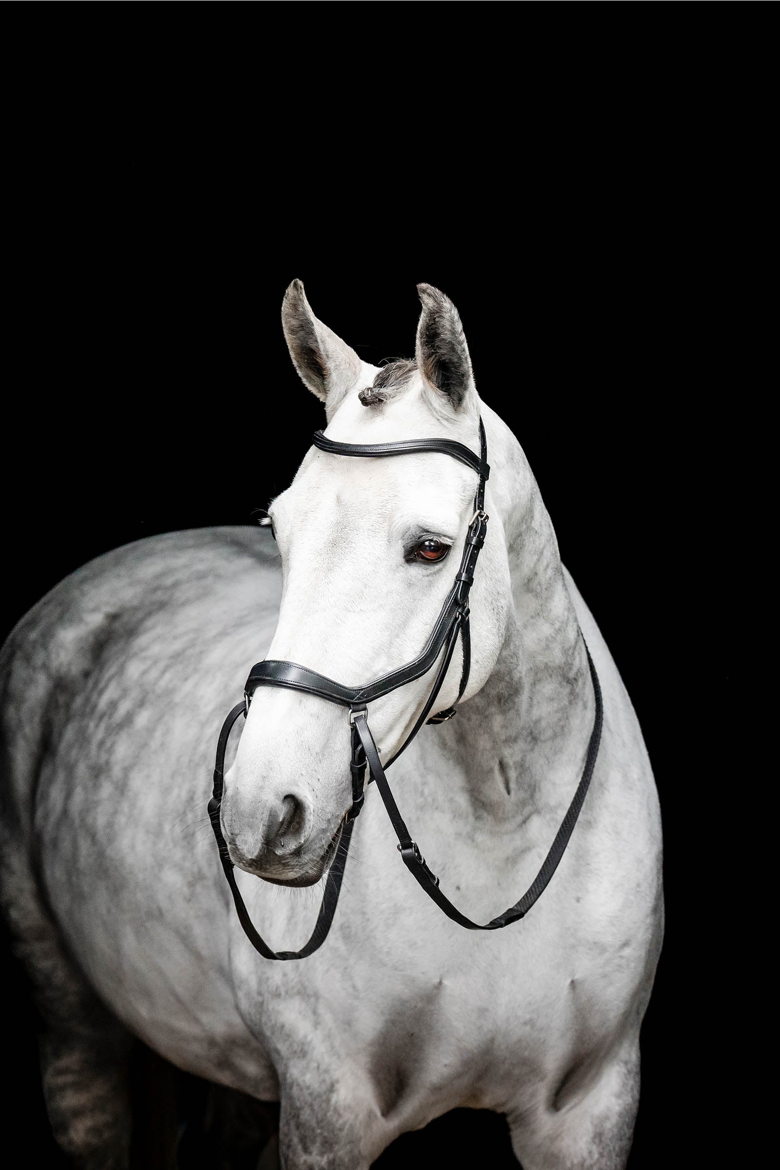 Horseware Micklem bittløst hodelag Hodelag & Tøyler