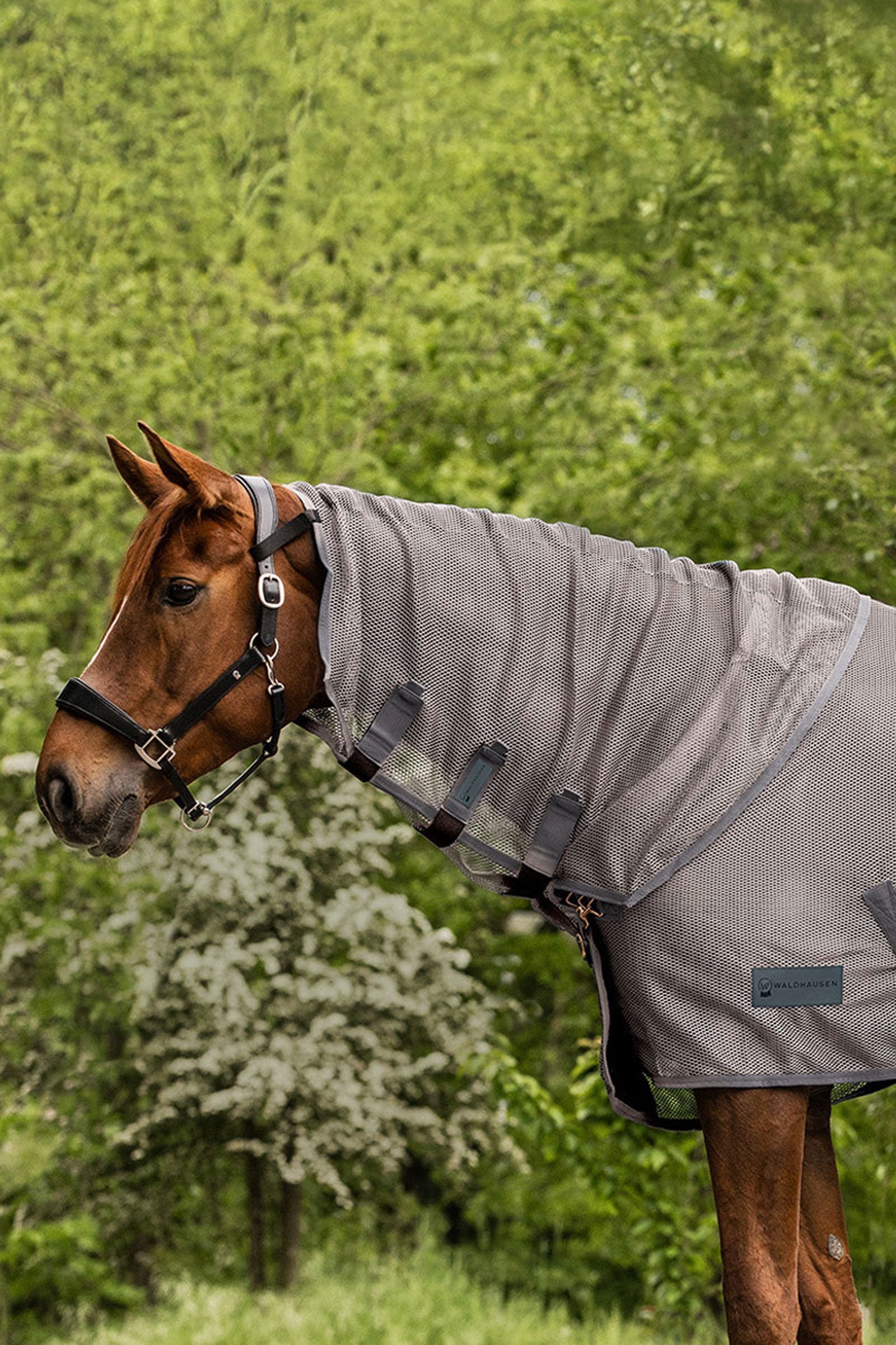 Waldhausen Comfort fluehalsbeskytter Dekken