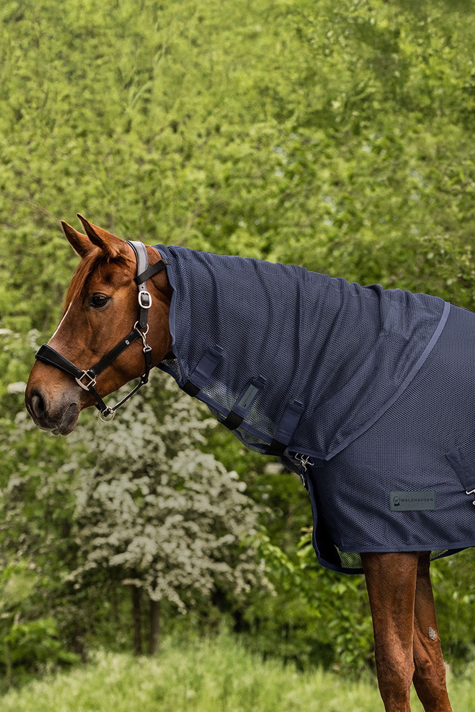 Waldhausen Comfort fluehalsbeskytter Dekken