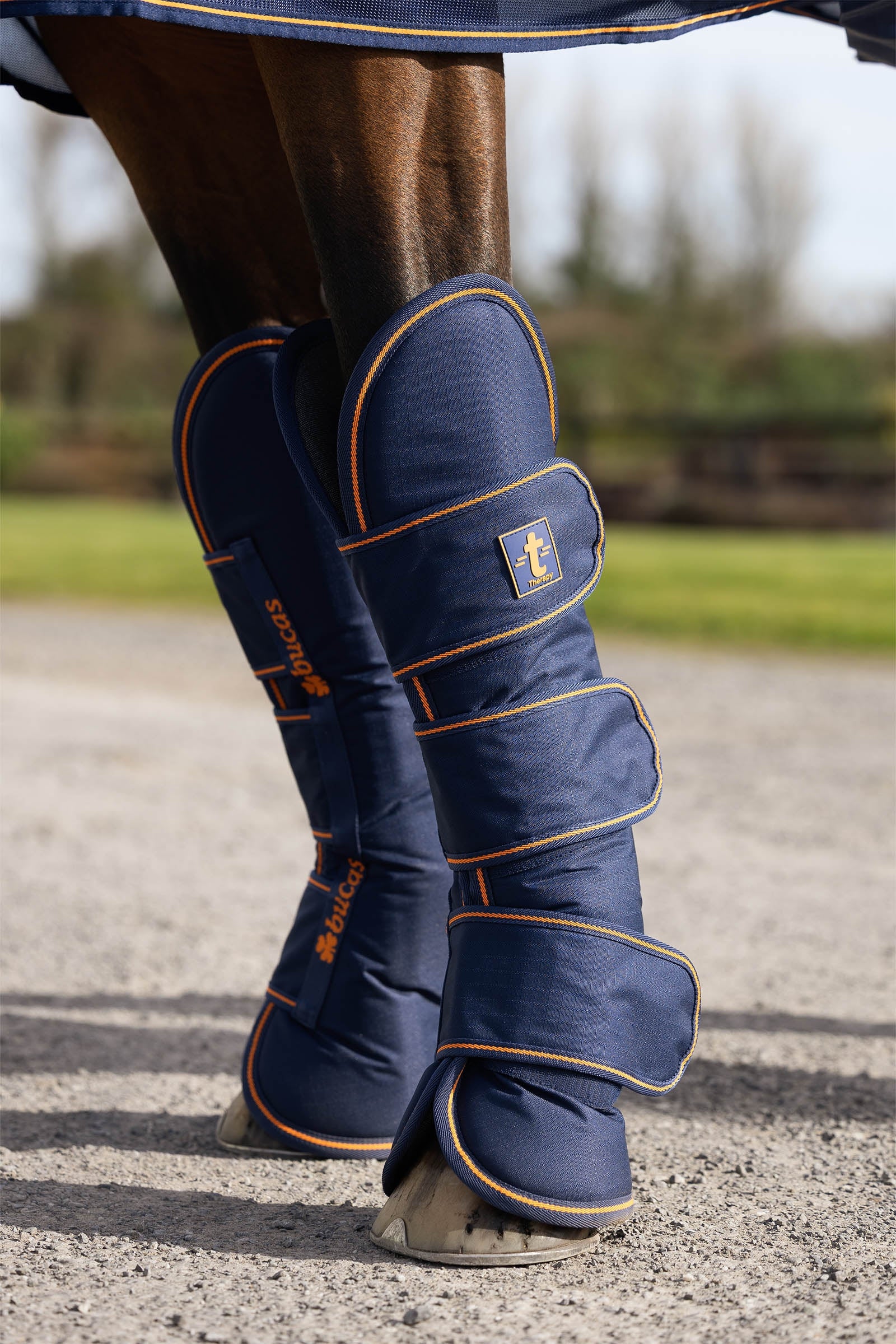 Bucas Terapibelegg for transport (sett med 4) Leg & Hoof Protection