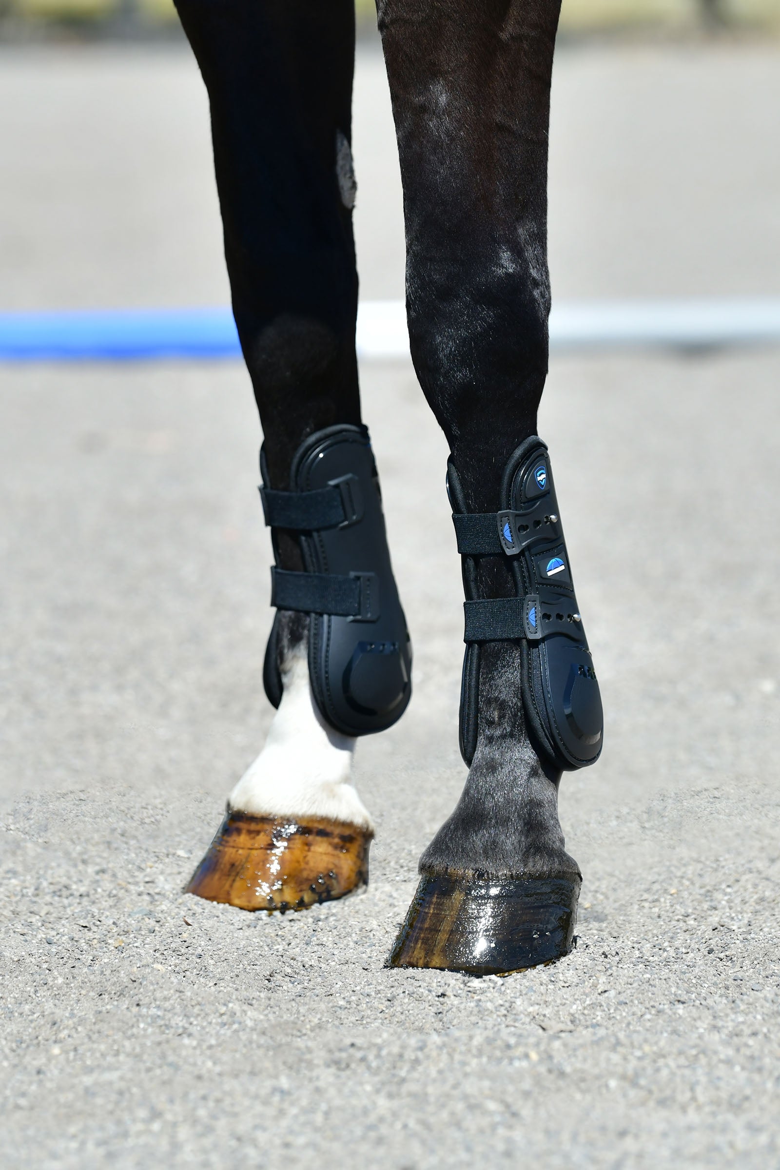 Weatherbeeta Tough-Tec Essential Open Front Boots Leg & Hoof Protection