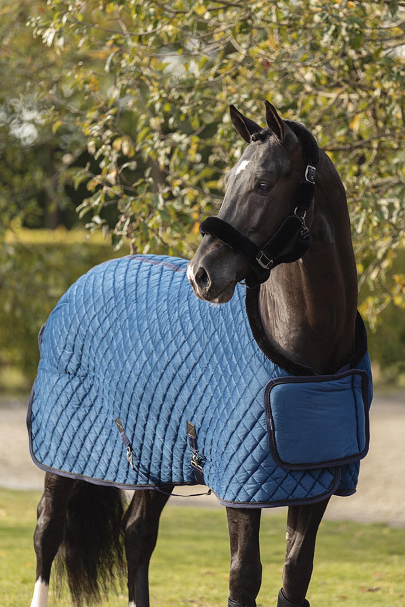 Anky ANKY Fluffy Halter Halters & Leads