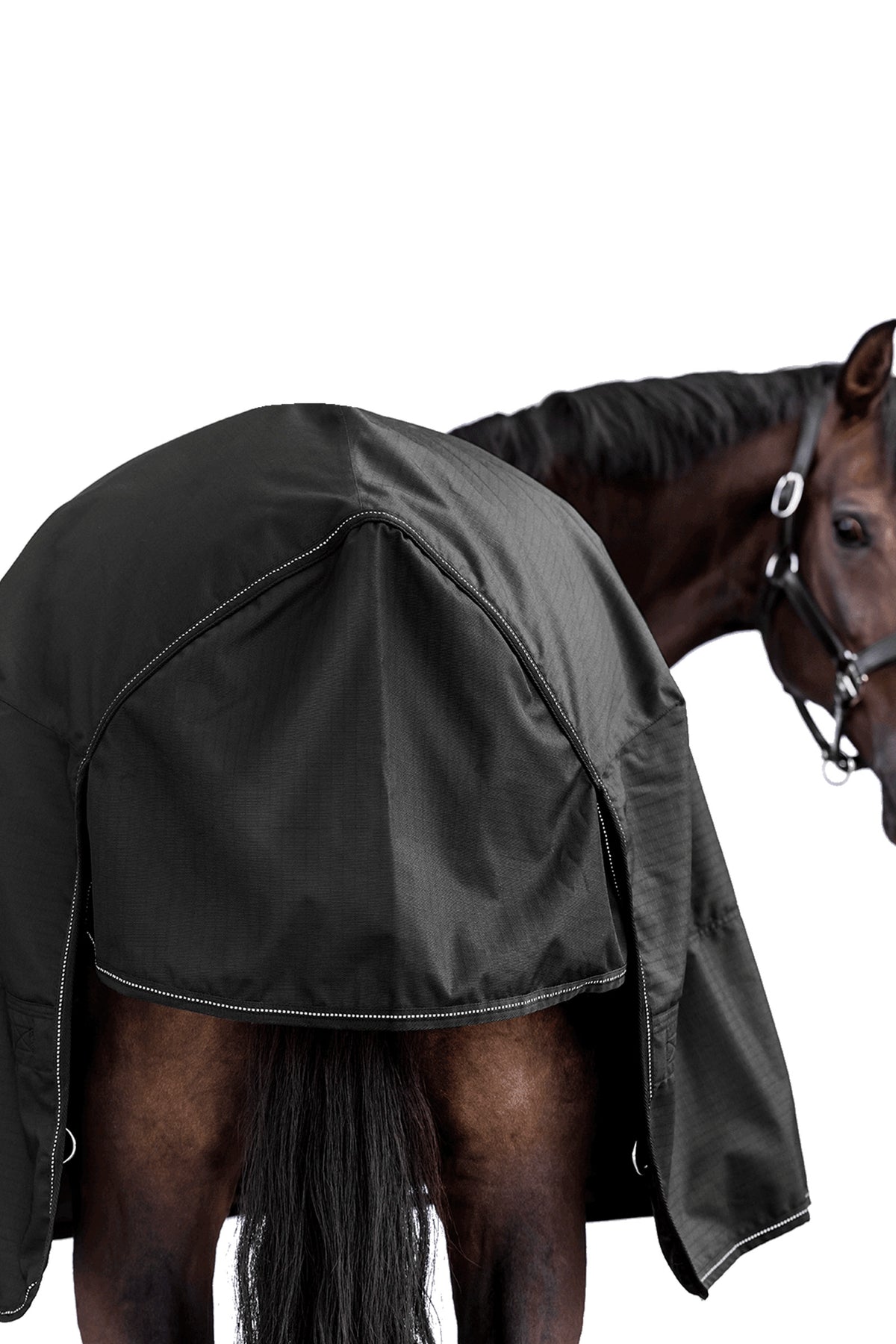 Waldhausen NORDIC 600D Outdoor Rug, 100 g Horse Rugs