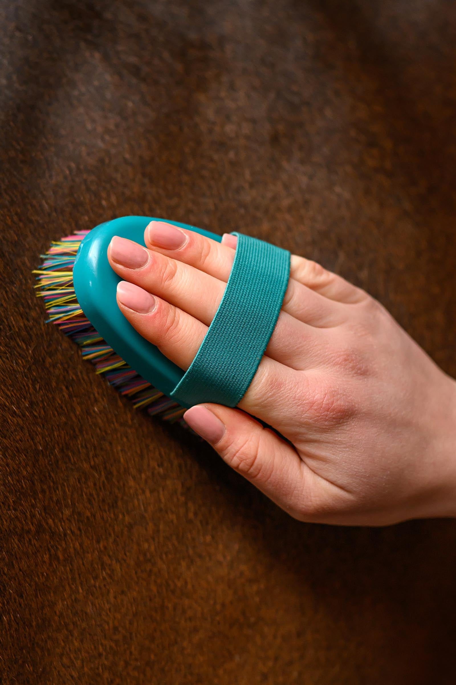 Waldhausen Rainbow Grooming Brush Horse Grooming Tools