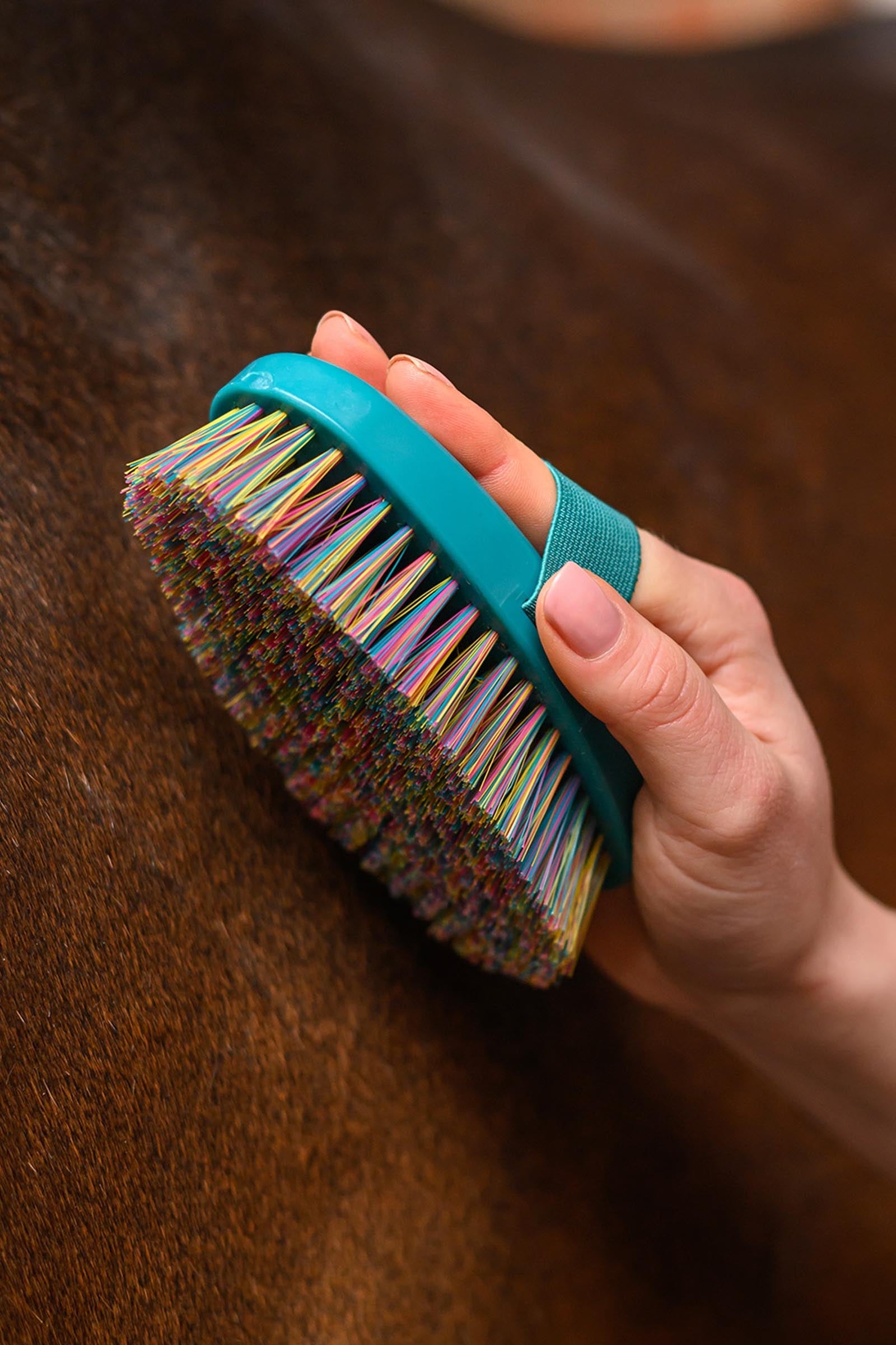 Waldhausen Rainbow Grooming Brush Horse Grooming Tools