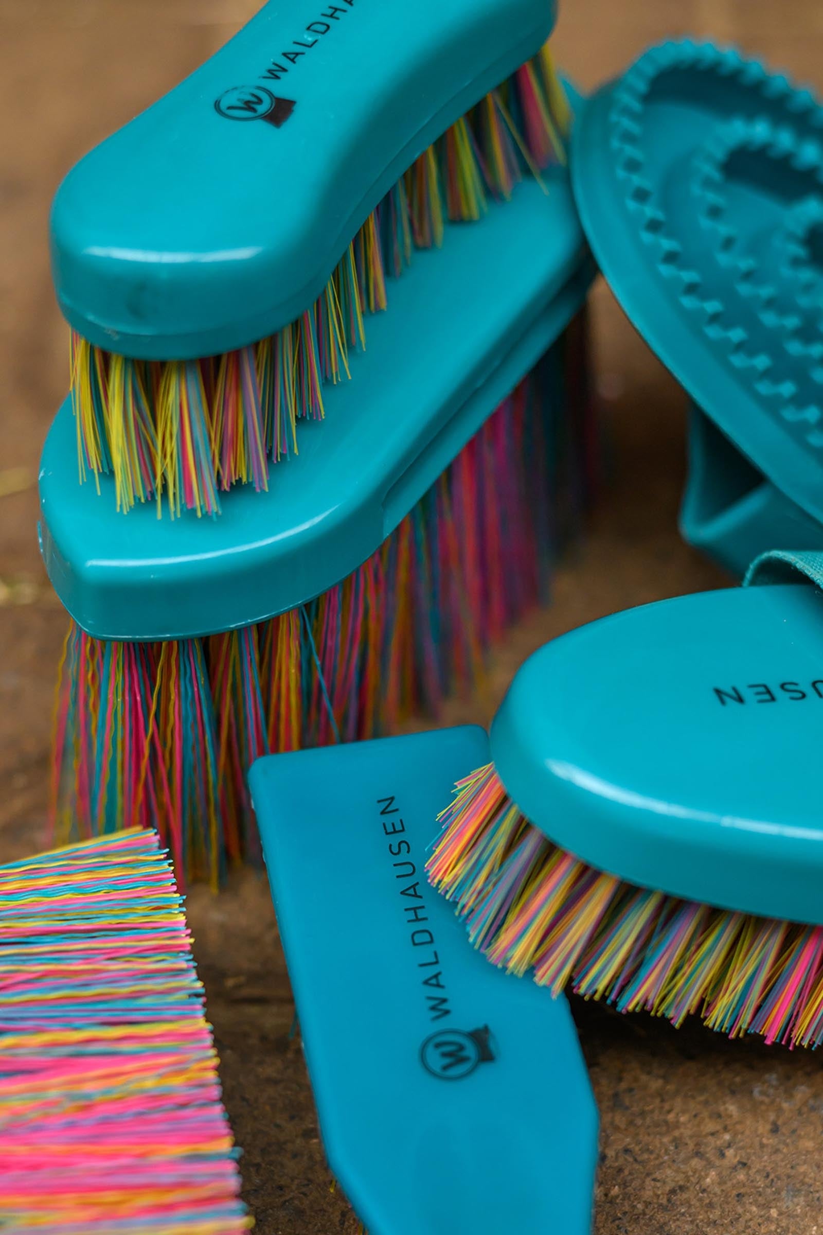 Waldhausen Rainbow Grooming Brush Horse Grooming Tools