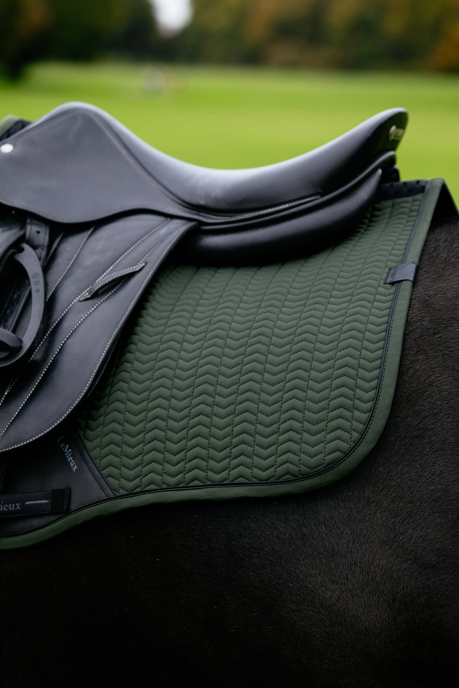 LeMieux Essence Eurojump Jumping Saddle Pad Saddle Pads